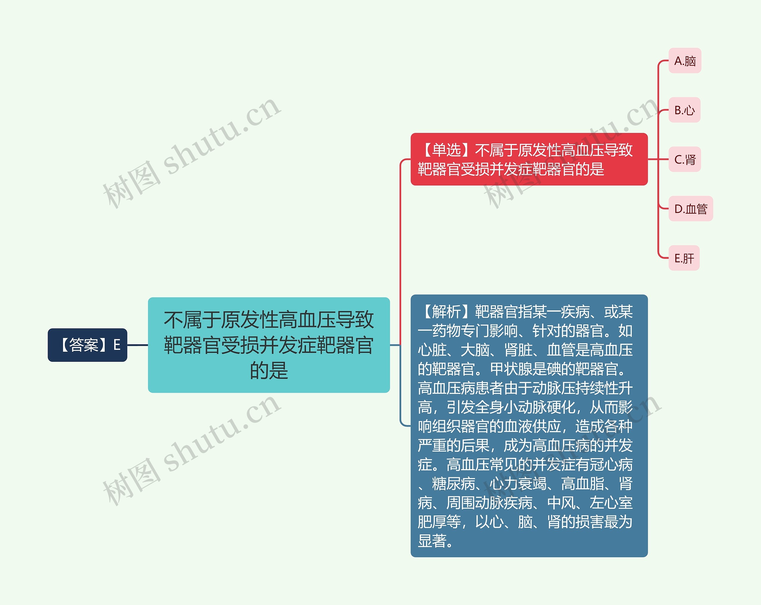 不属于原发性高血压导致靶器官受损并发症靶器官的是思维导图