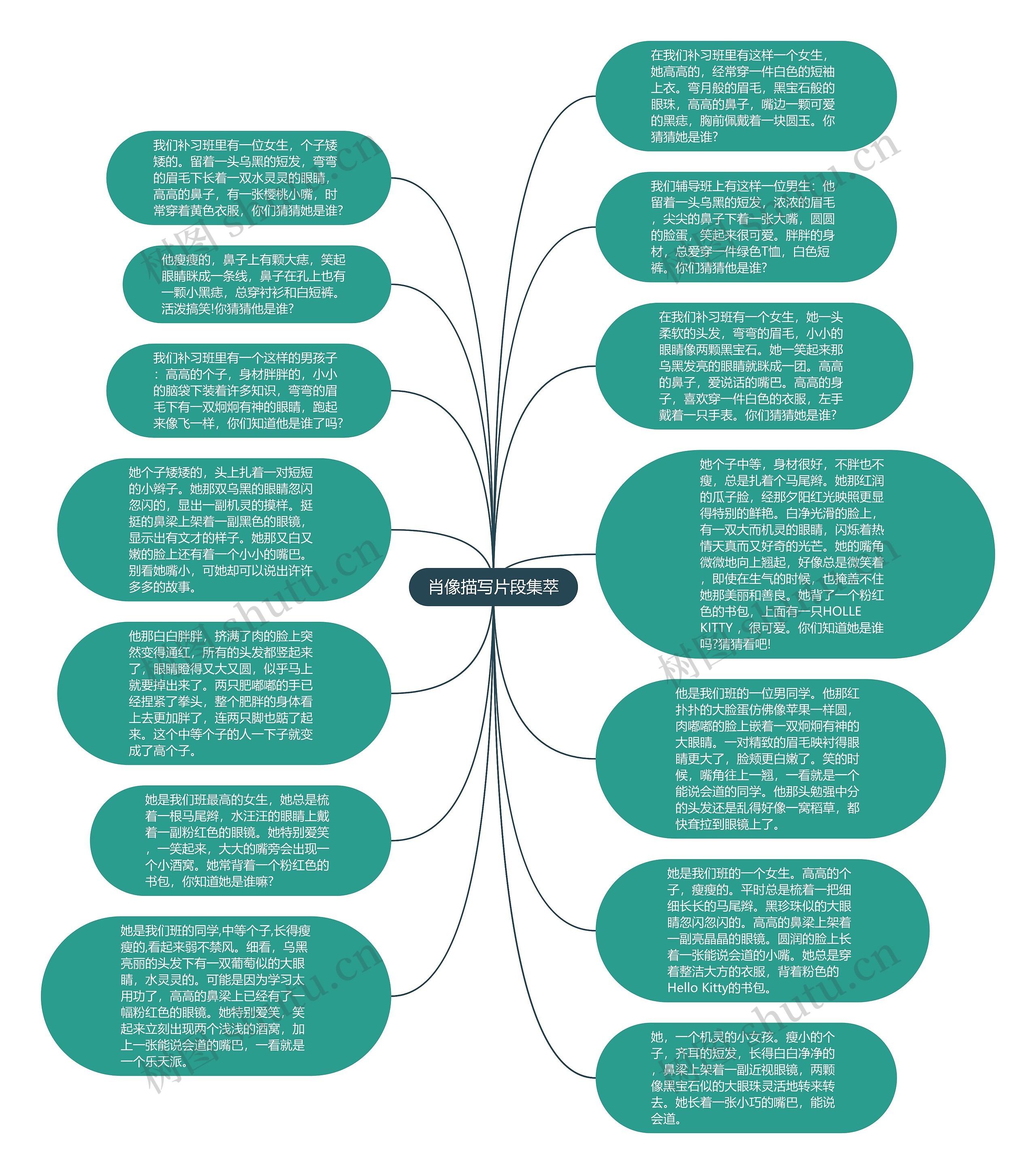 肖像描写片段集萃思维导图