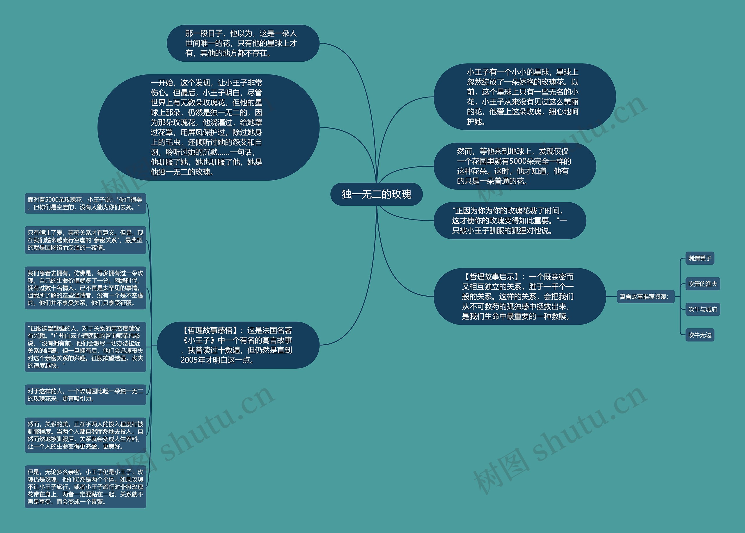 独一无二的玫瑰思维导图