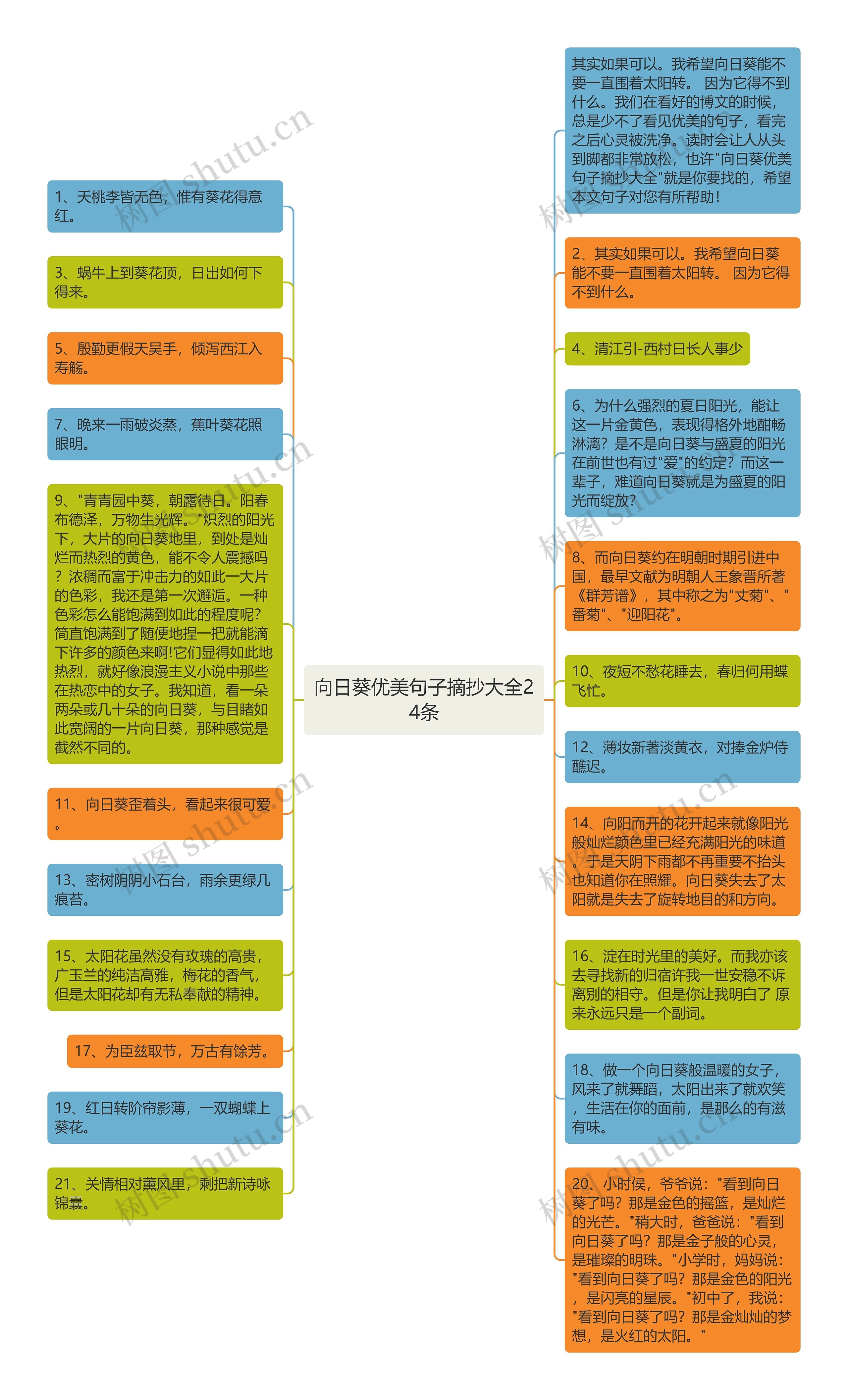 向日葵优美句子摘抄大全24条思维导图