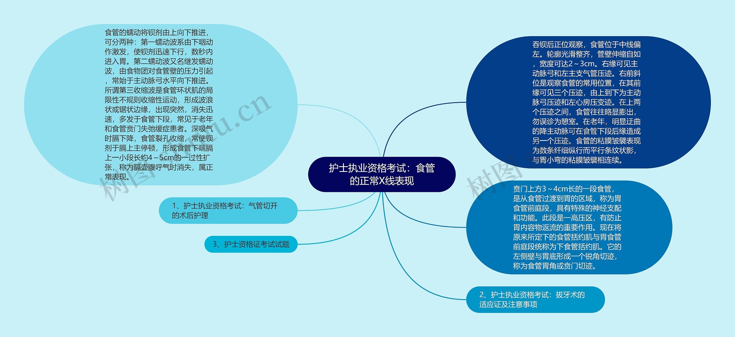 护士执业资格考试：食管的正常X线表现思维导图