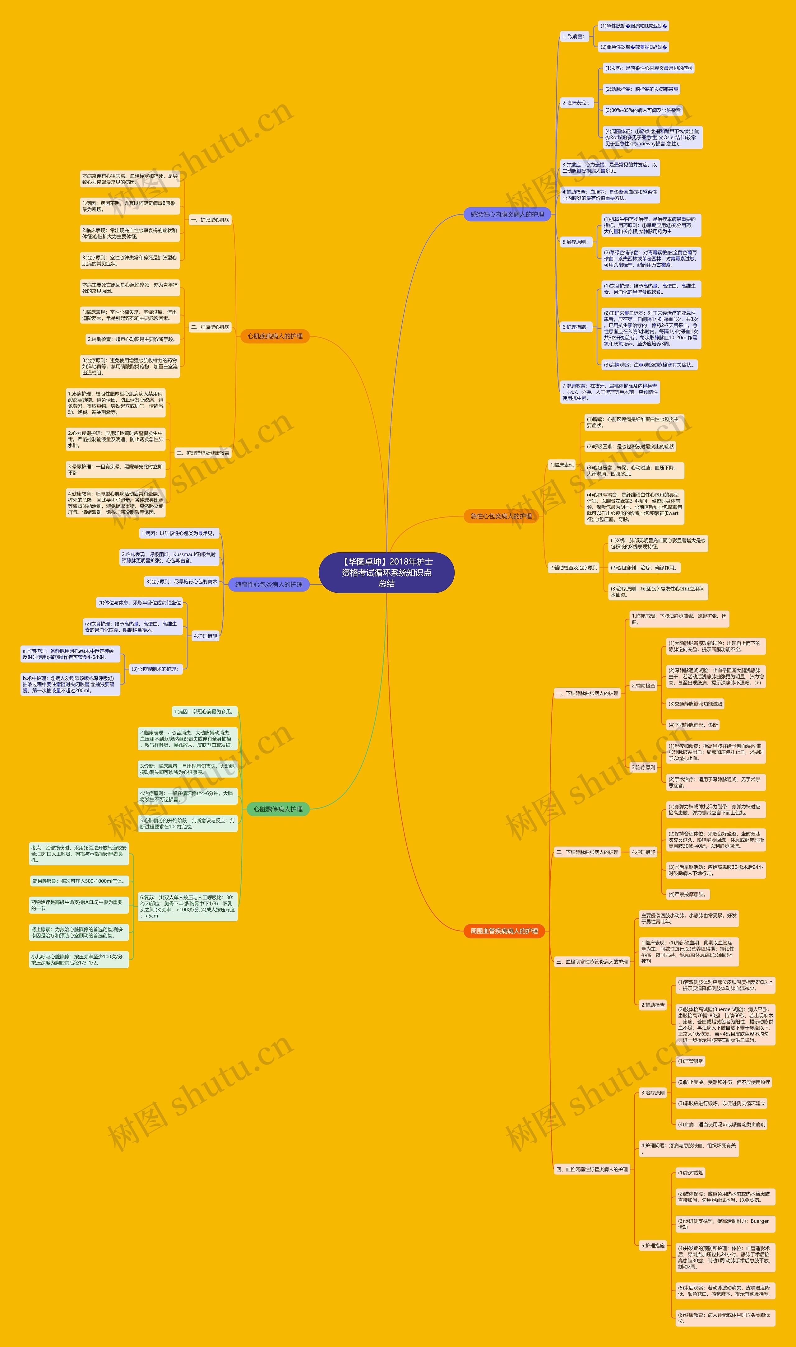 【华图卓坤】2018年护士资格考试循环系统知识点总结思维导图