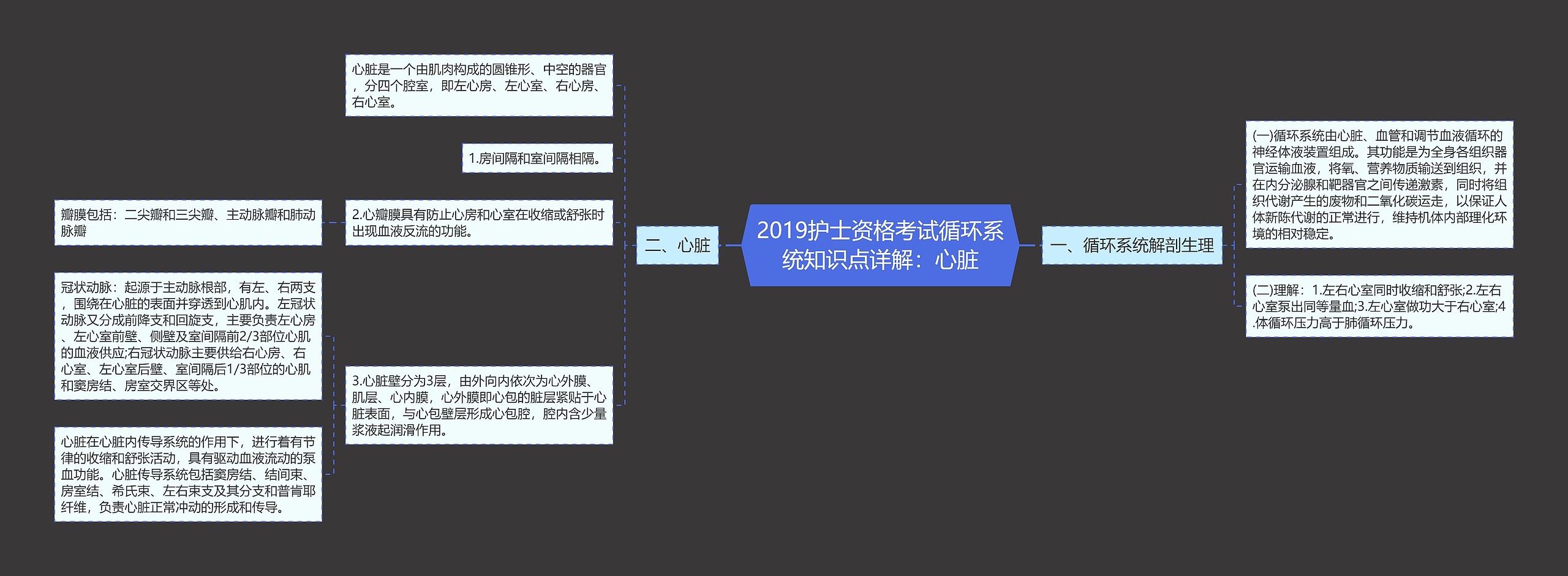 2019护士资格考试循环系统知识点详解：心脏