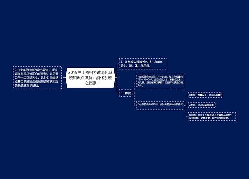 2019护士资格考试消化系统知识点详解：消化系统之胰腺