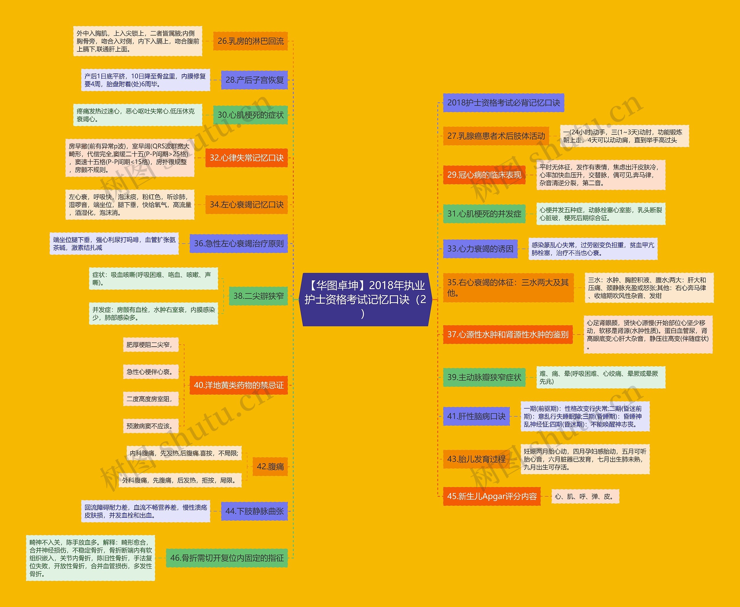 【华图卓坤】2018年执业护士资格考试记忆口诀（2）思维导图