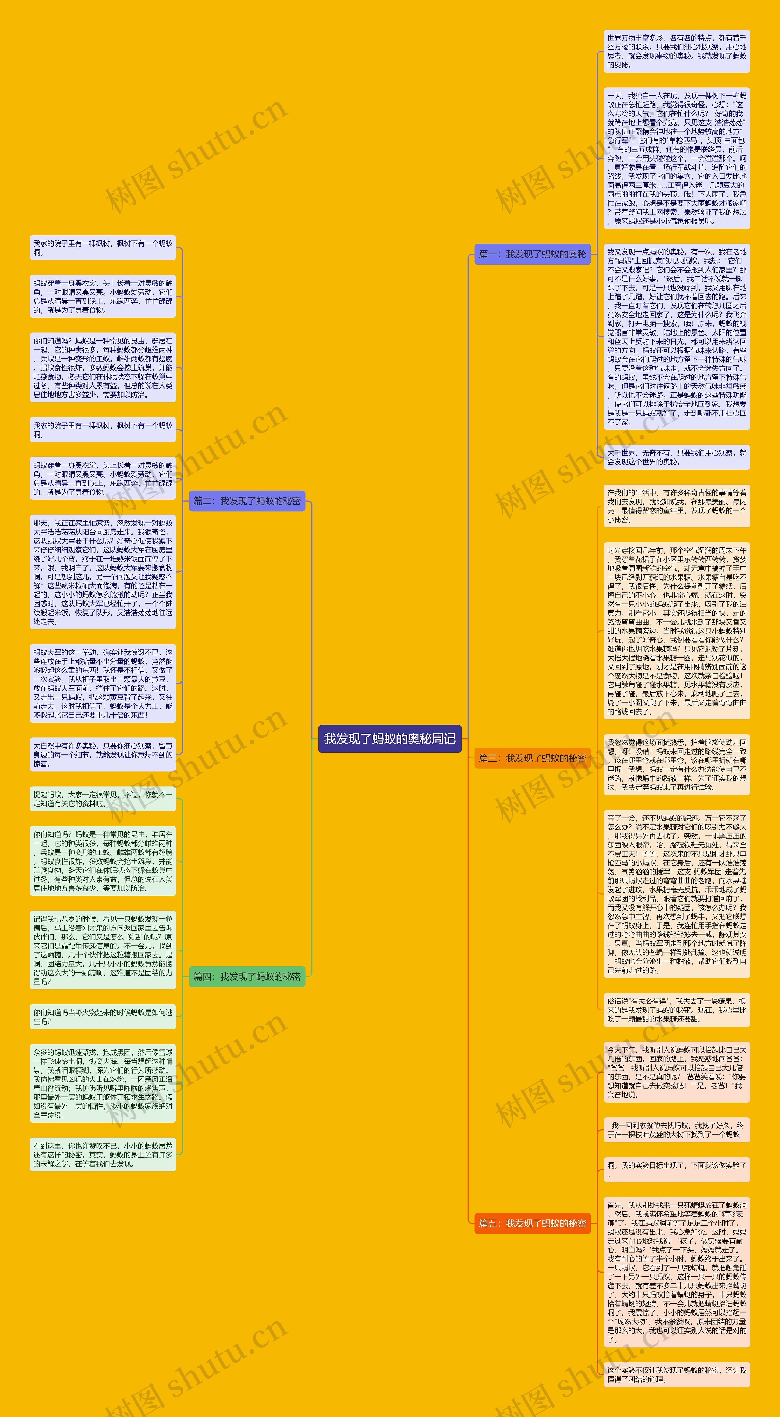 我发现了蚂蚁的奥秘周记思维导图