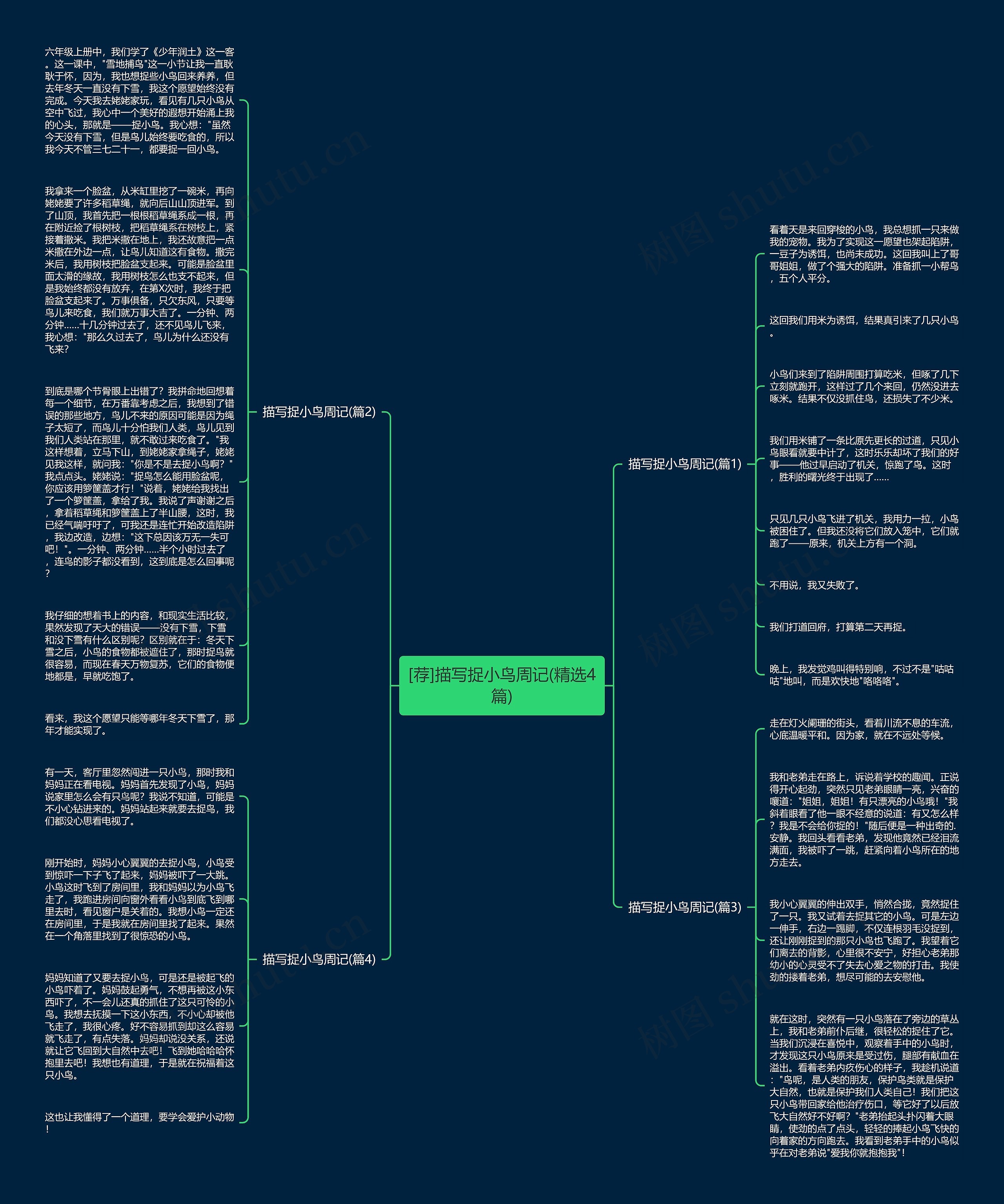 [荐]描写捉小鸟周记(精选4篇)思维导图