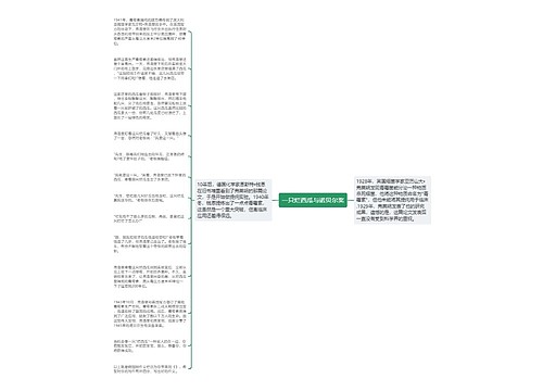 一只烂西瓜与诺贝尔奖