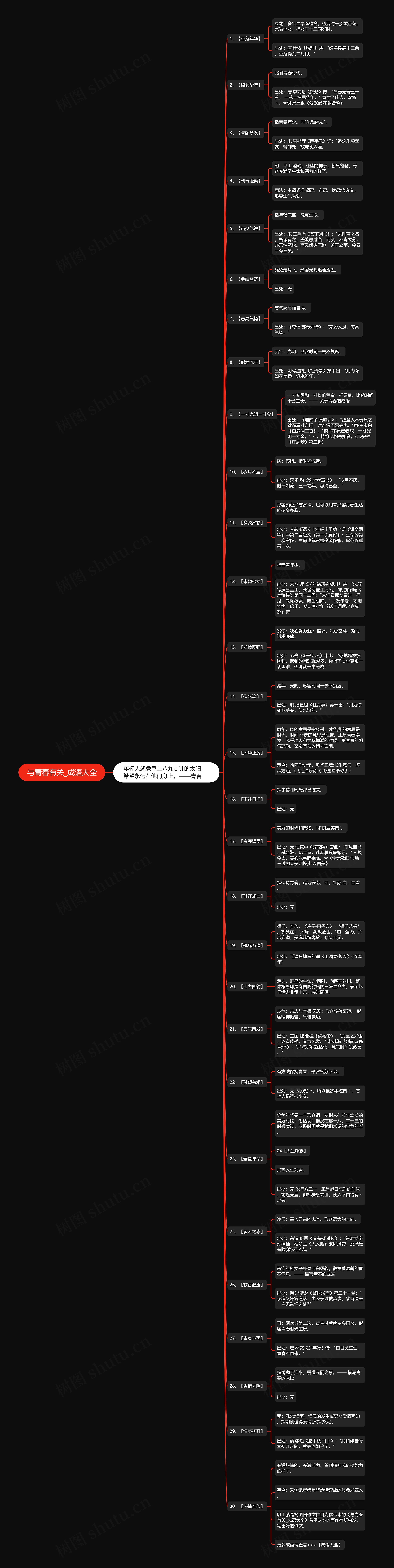 与青春有关_成语大全思维导图