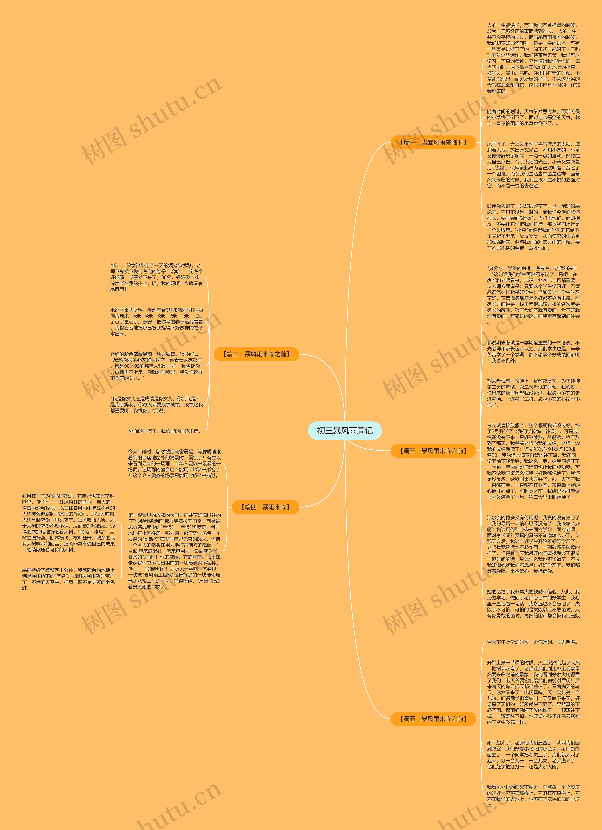 初三暴风雨周记思维导图