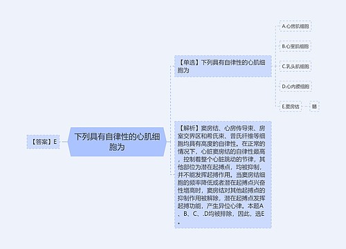 下列具有自律性的心肌细胞为