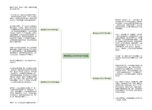 寒假周记300字高中四篇