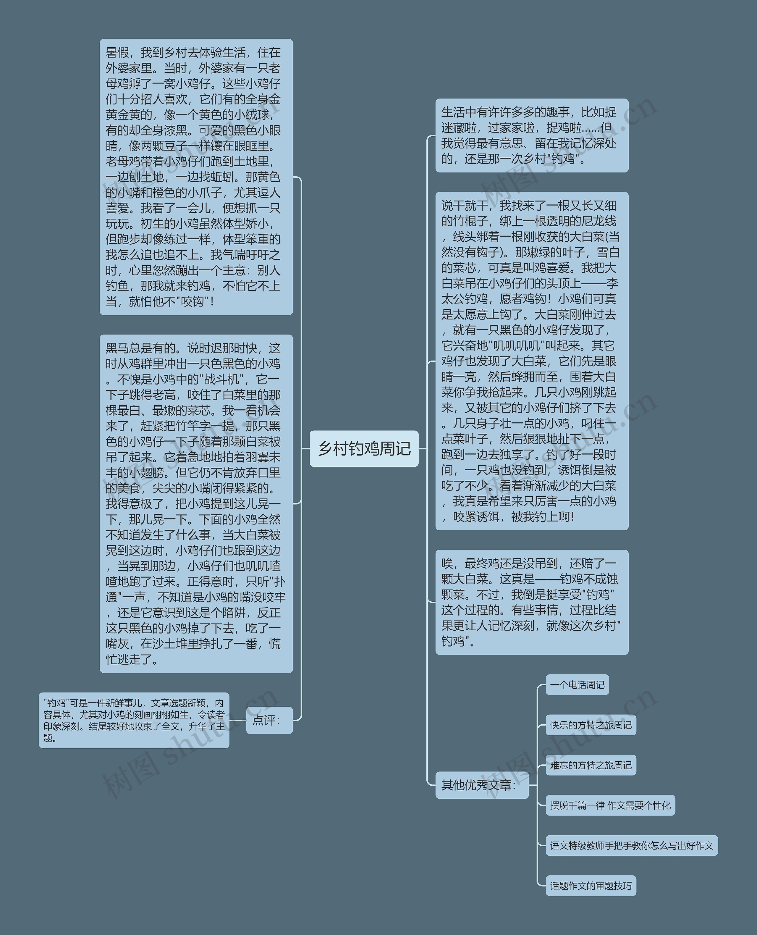 乡村钓鸡周记