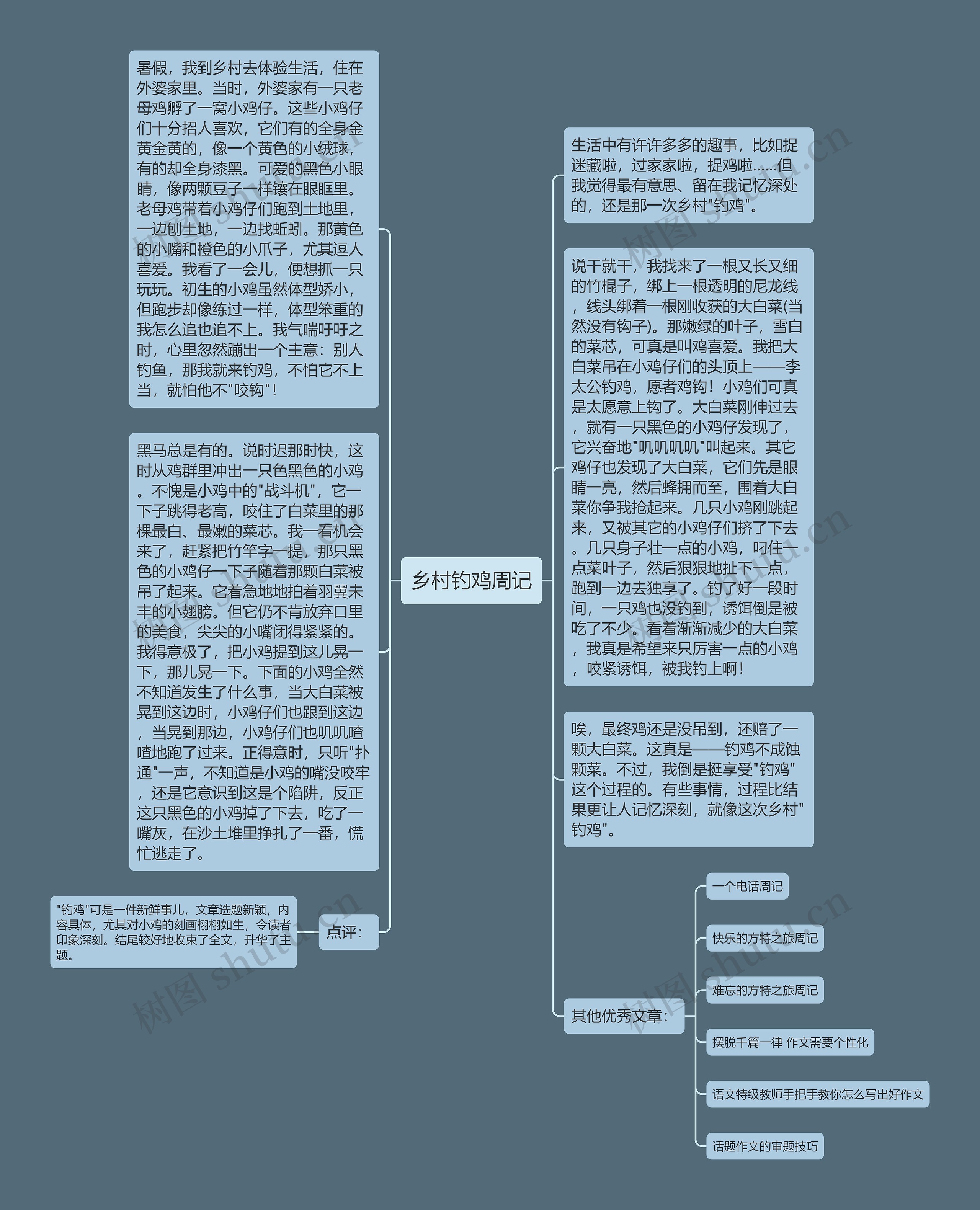 乡村钓鸡周记思维导图