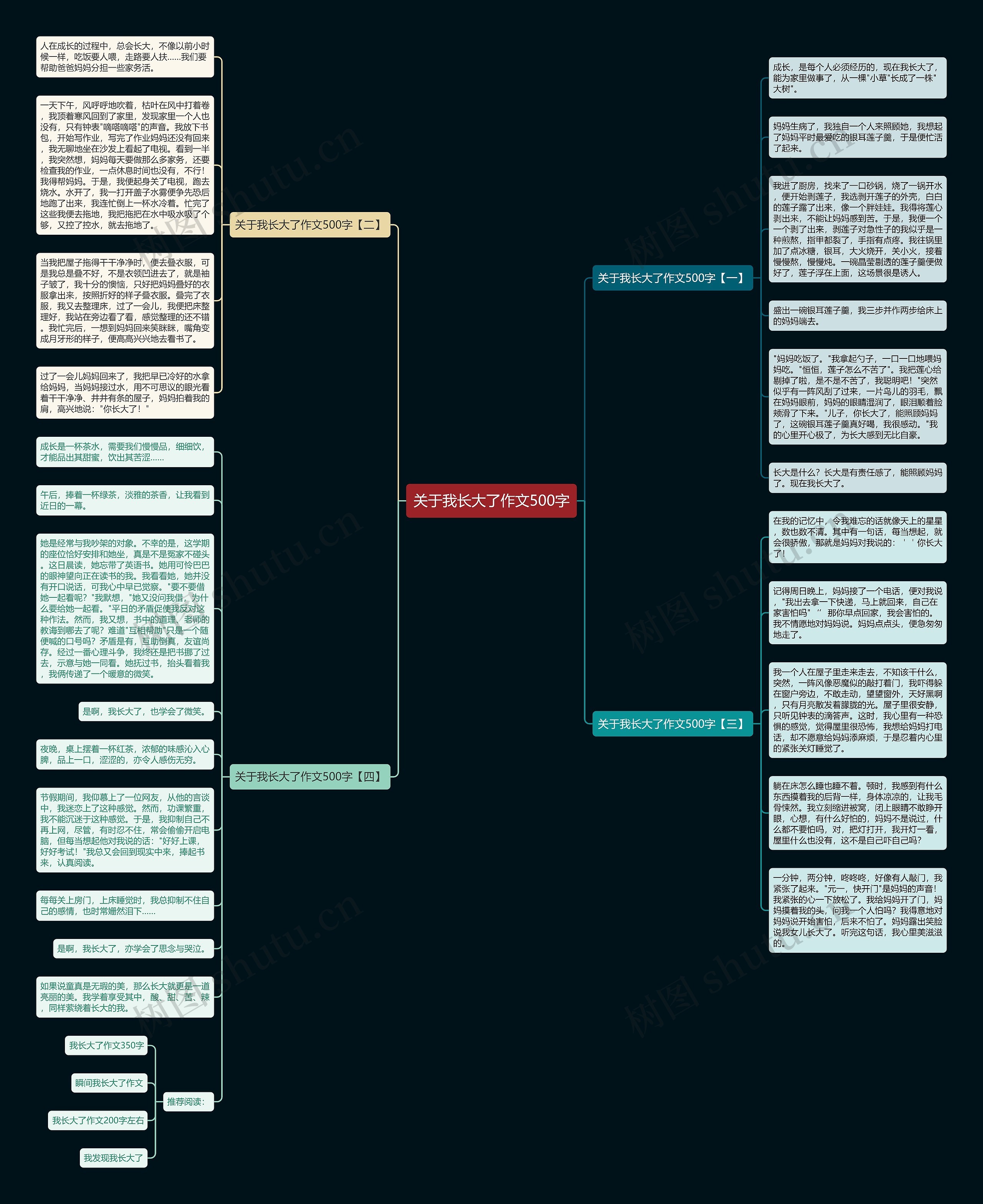 关于我长大了作文500字思维导图