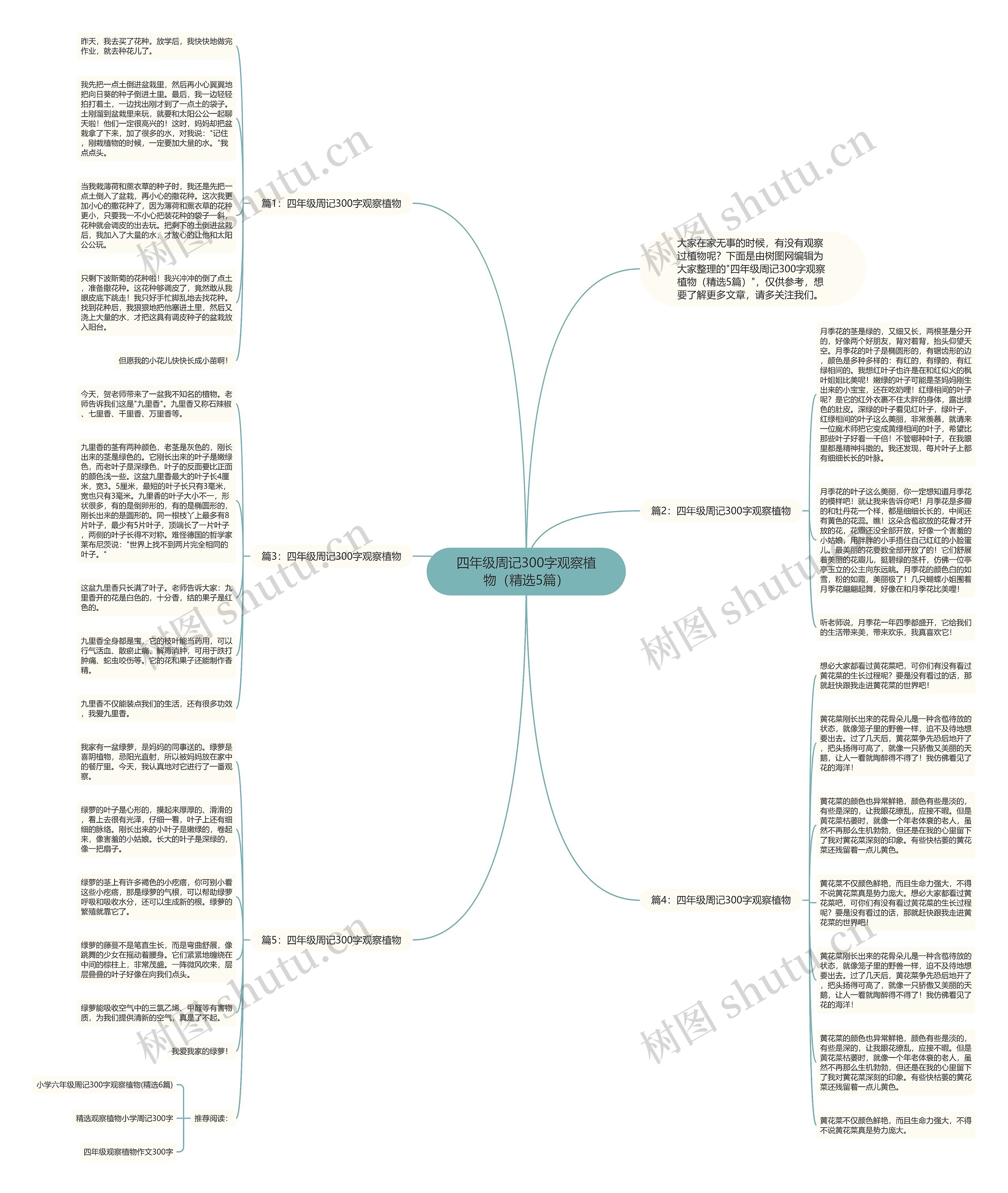 四年级周记300字观察植物（精选5篇）思维导图