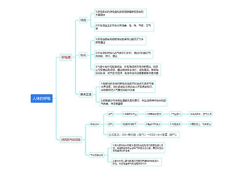 人体的呼吸