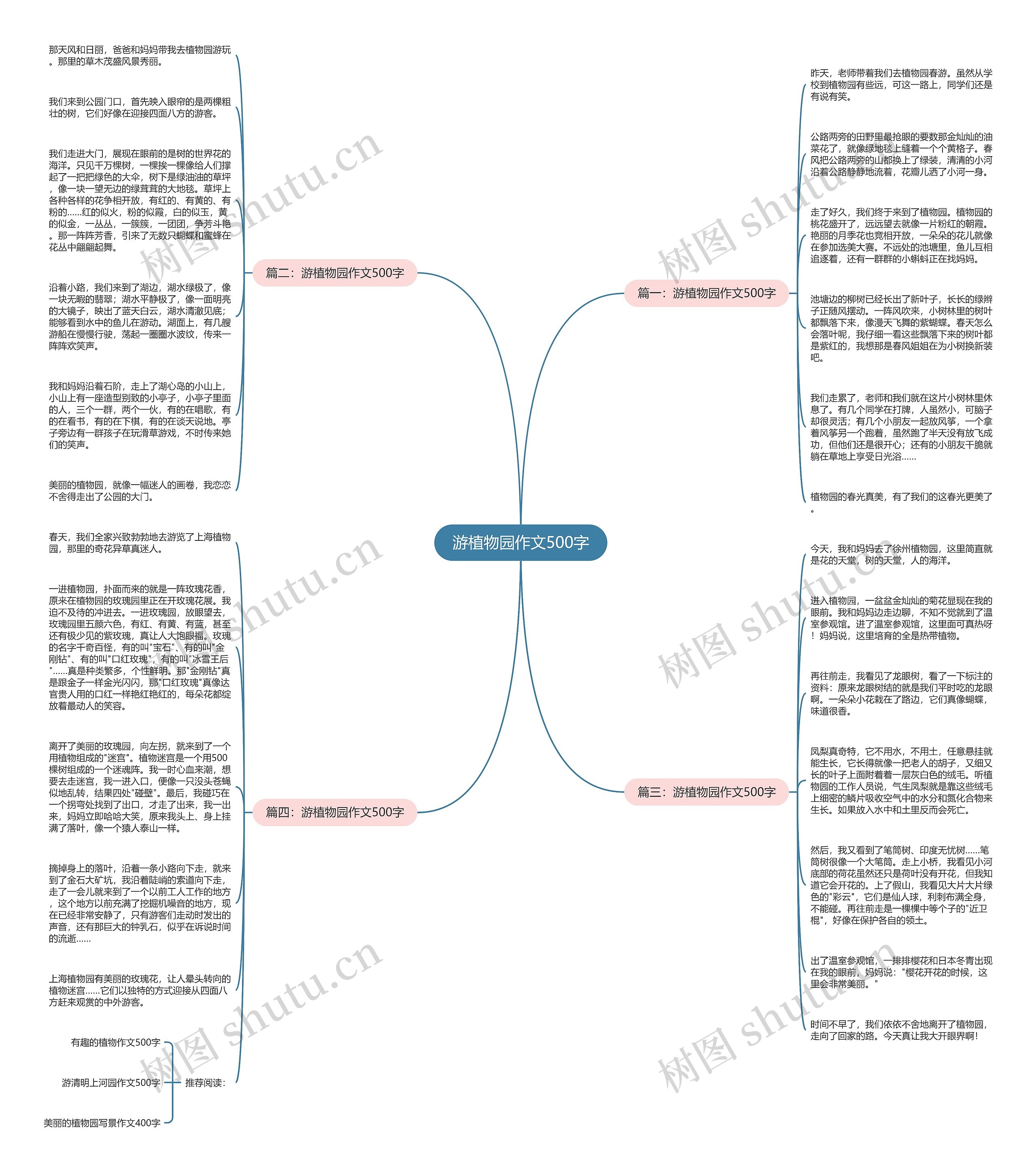 游植物园作文500字思维导图