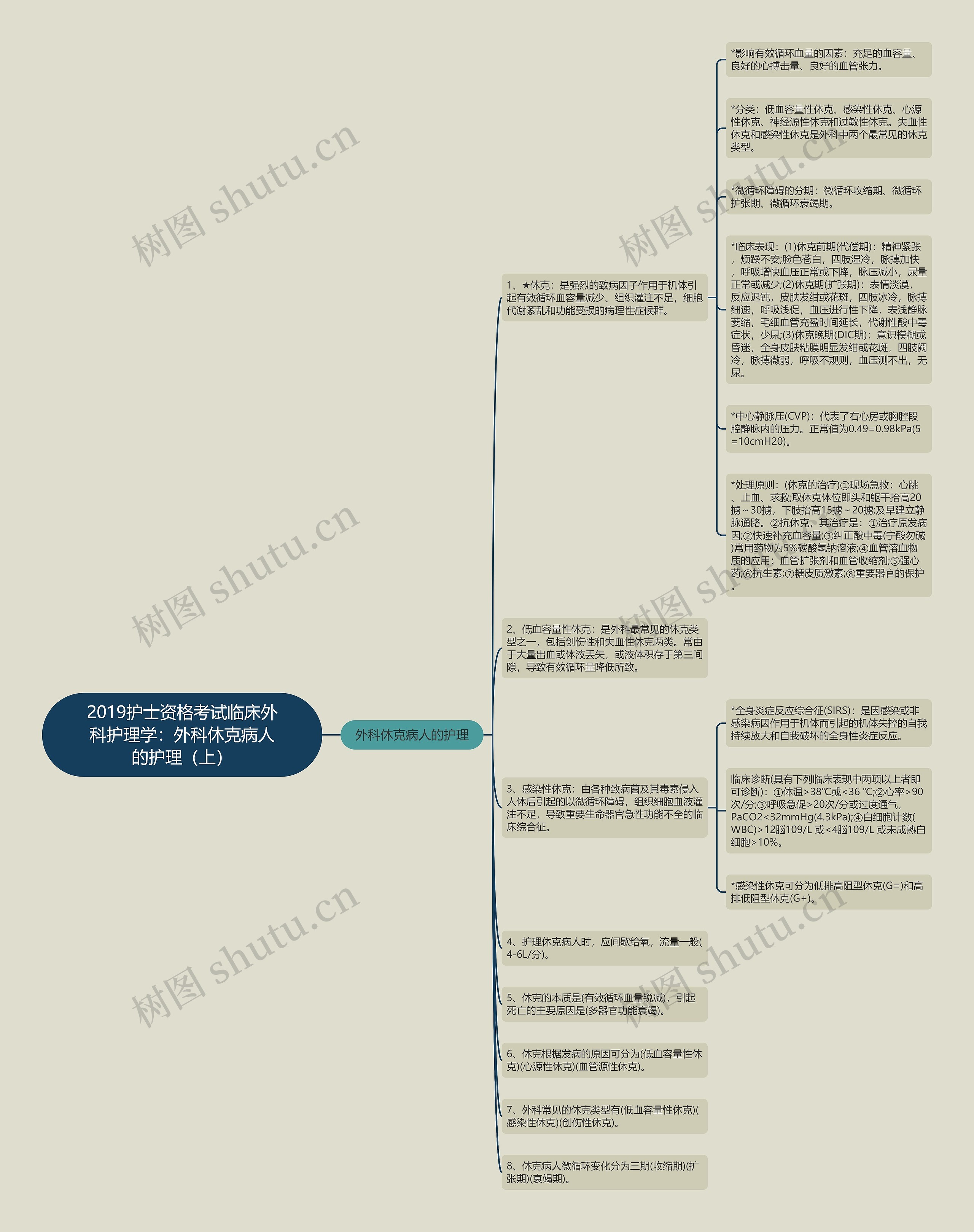 2019护士资格考试临床外科护理学：外科休克病人的护理（上）思维导图