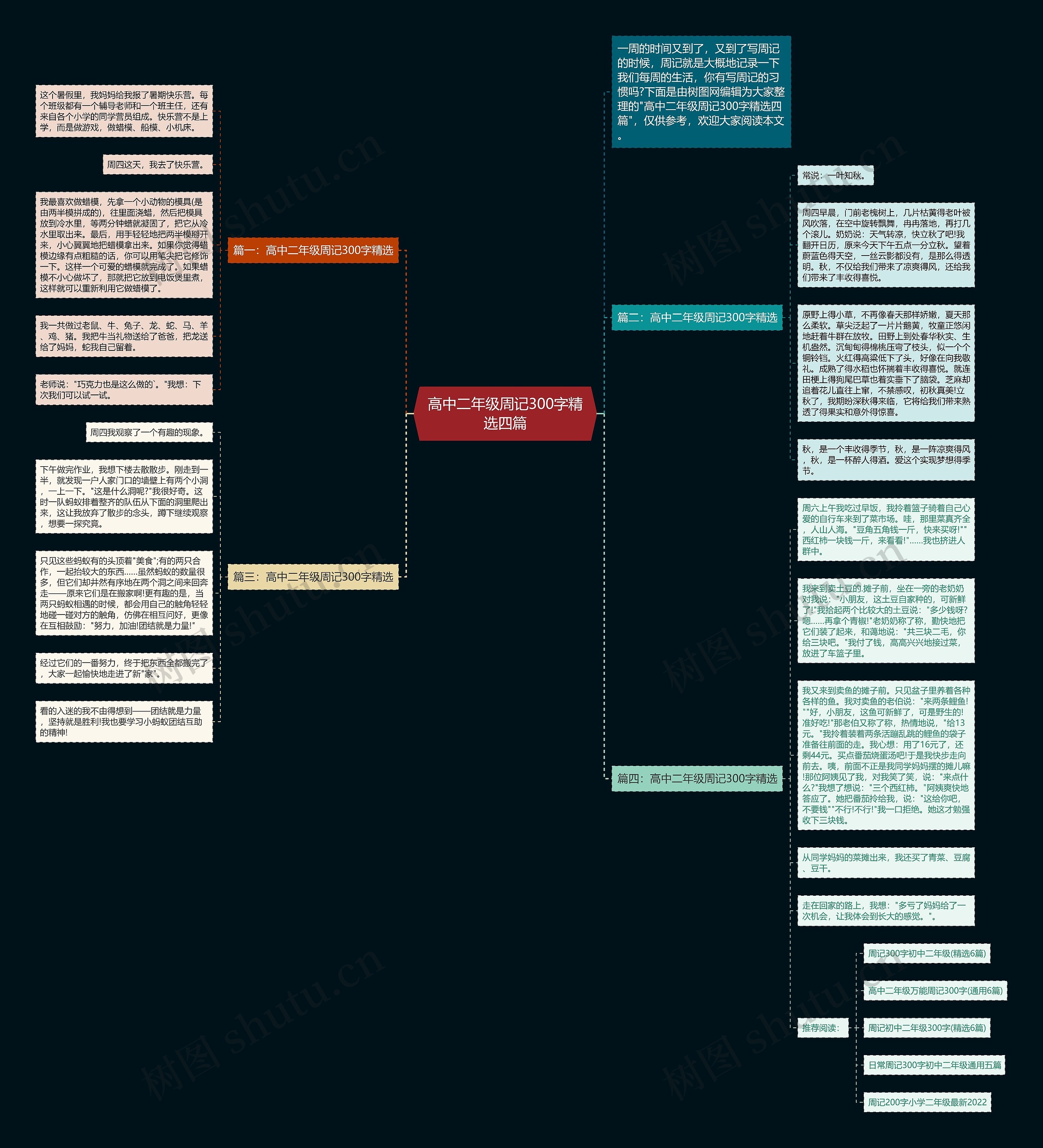 高中二年级周记300字精选四篇思维导图
