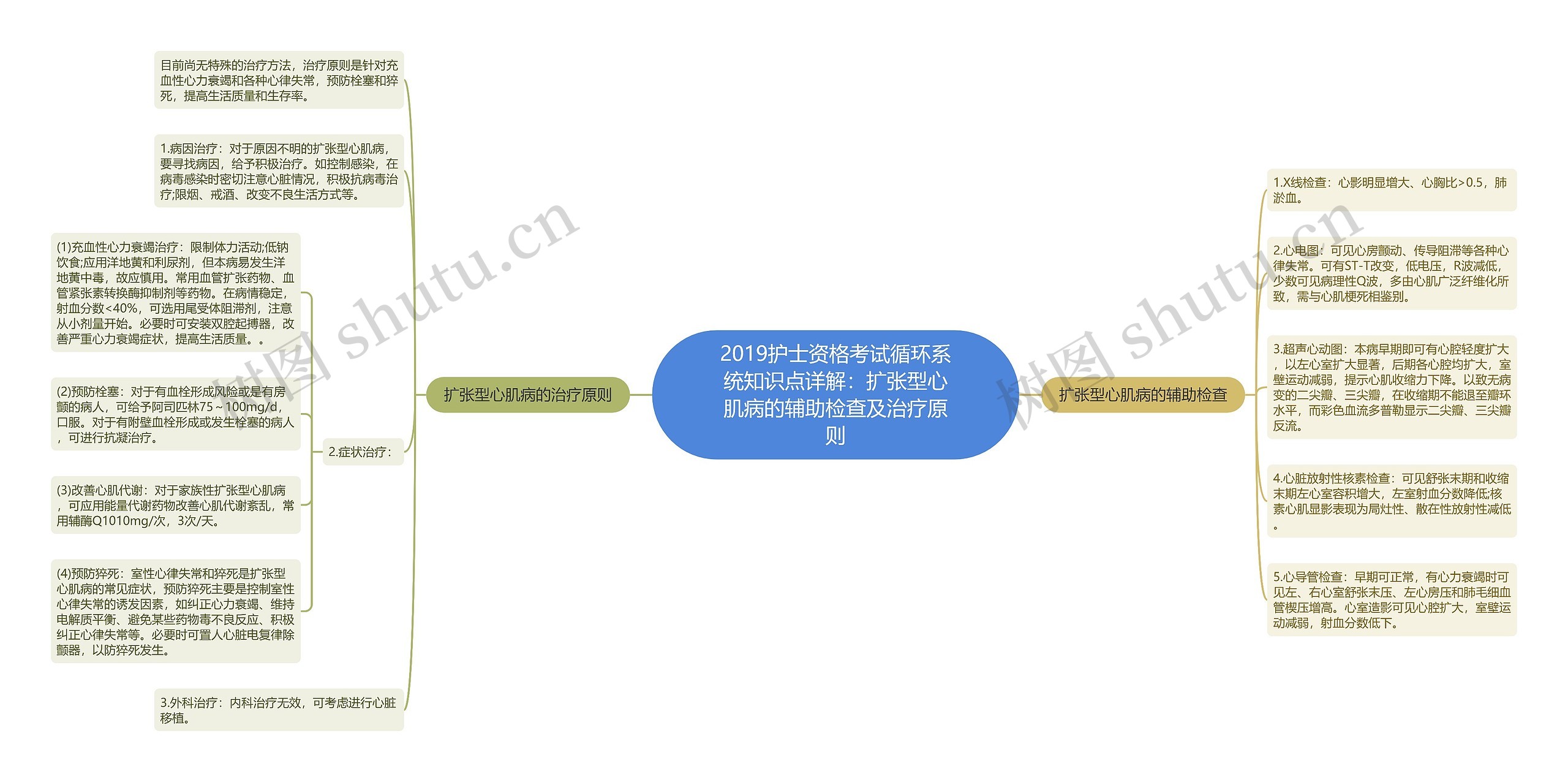 2019护士资格考试循环系统知识点详解：扩张型心肌病的辅助检查及治疗原则思维导图