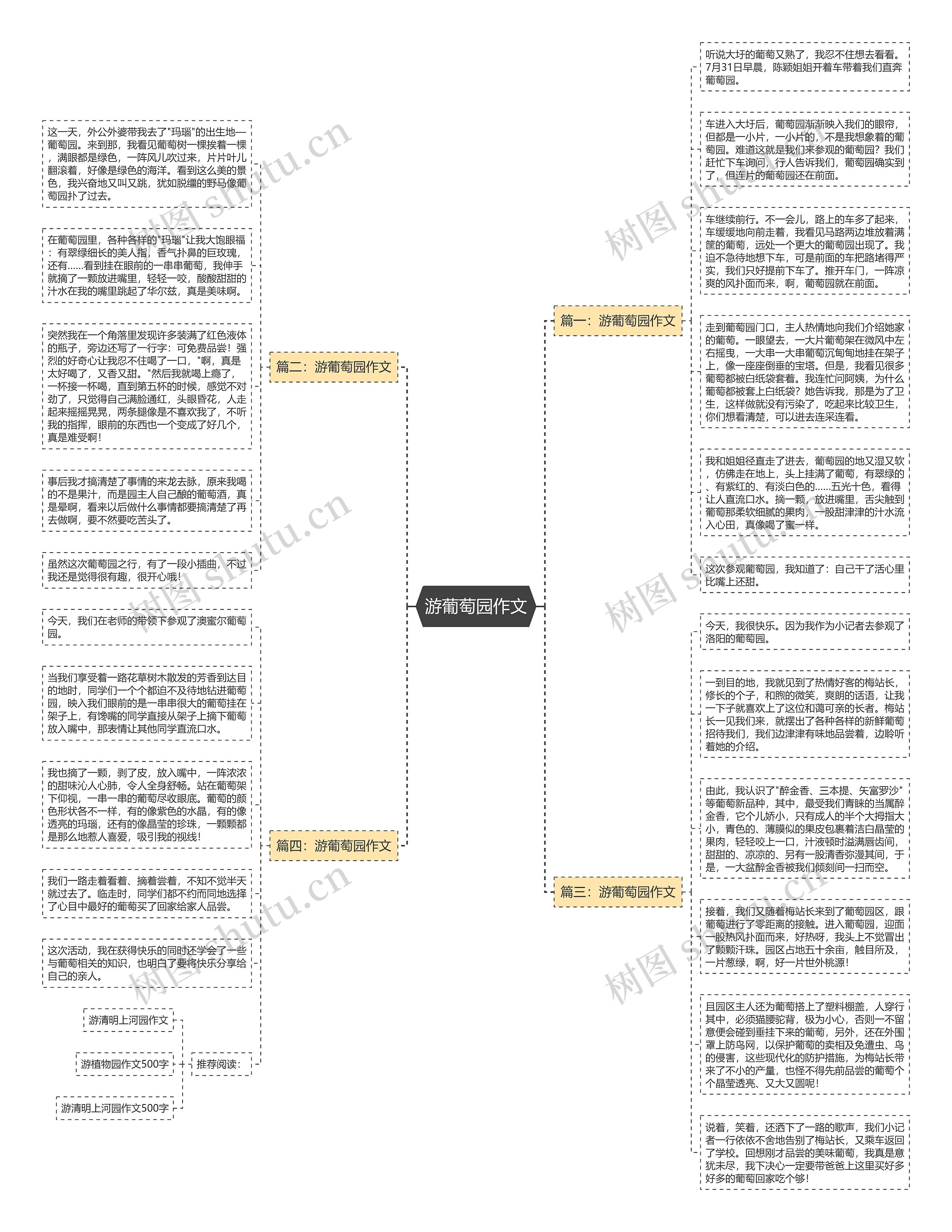 游葡萄园作文思维导图