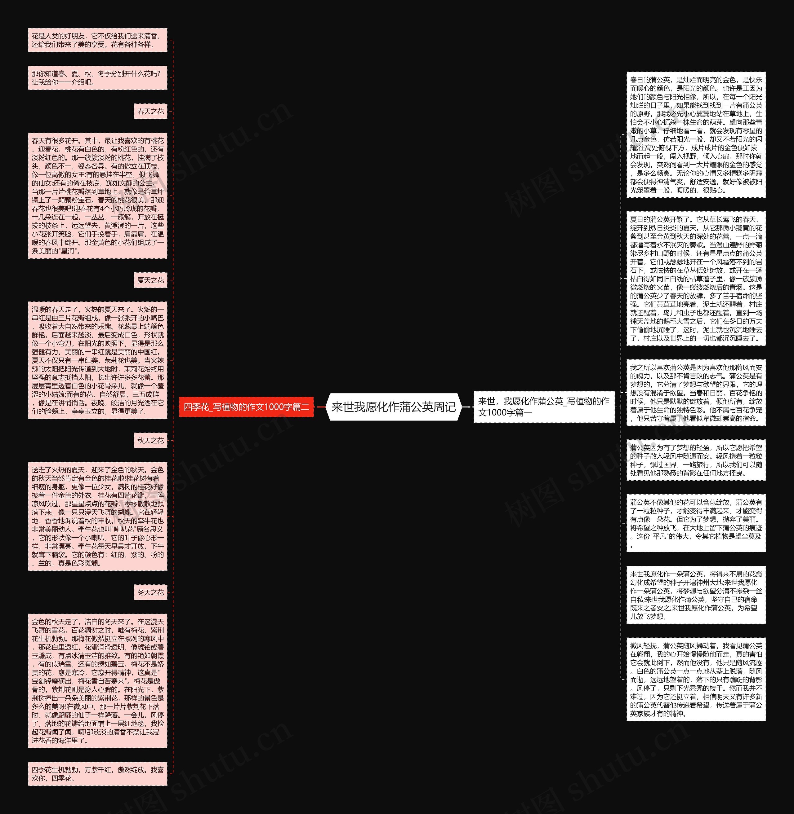 来世我愿化作蒲公英周记思维导图