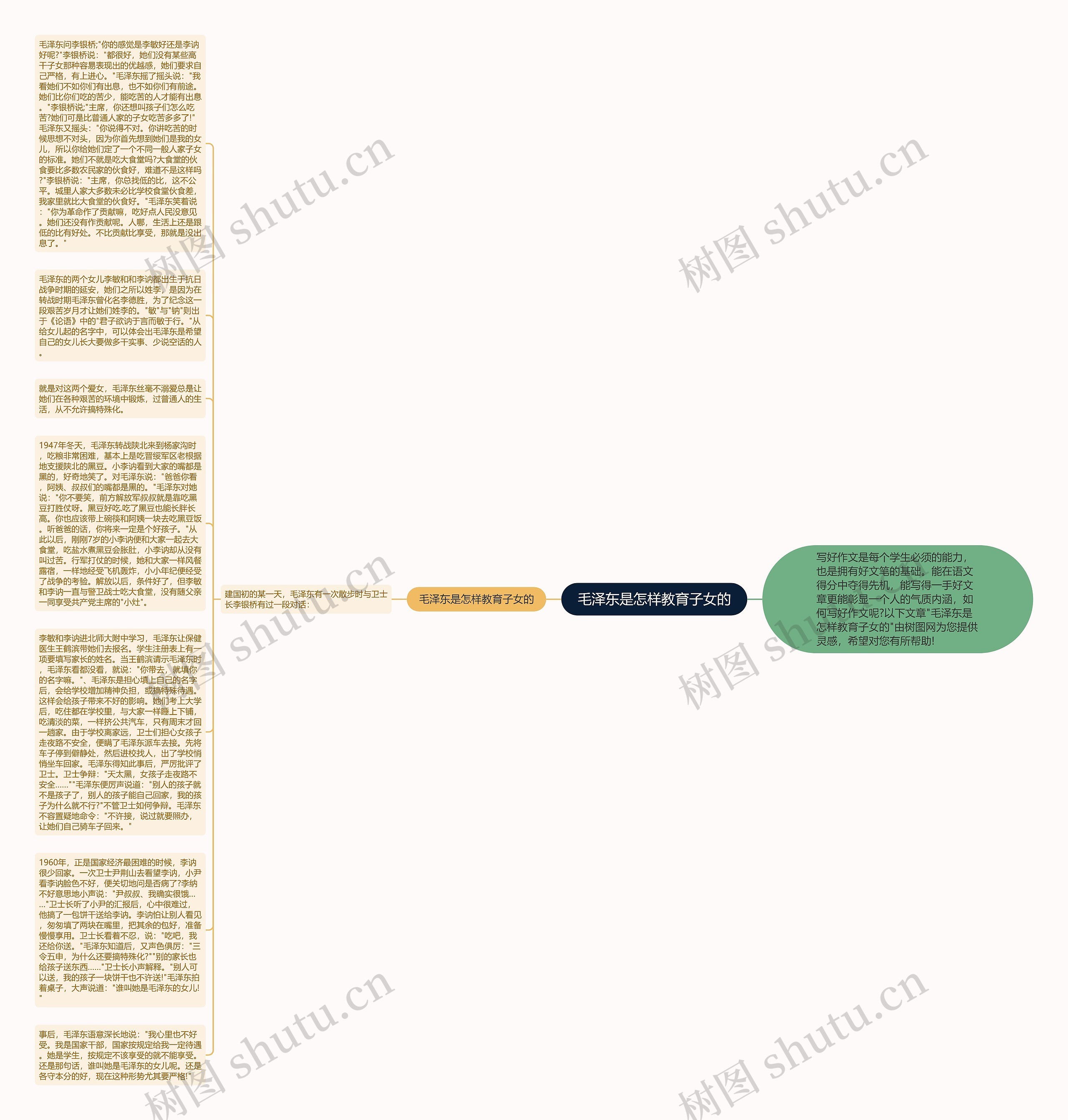 毛泽东是怎样教育子女的思维导图