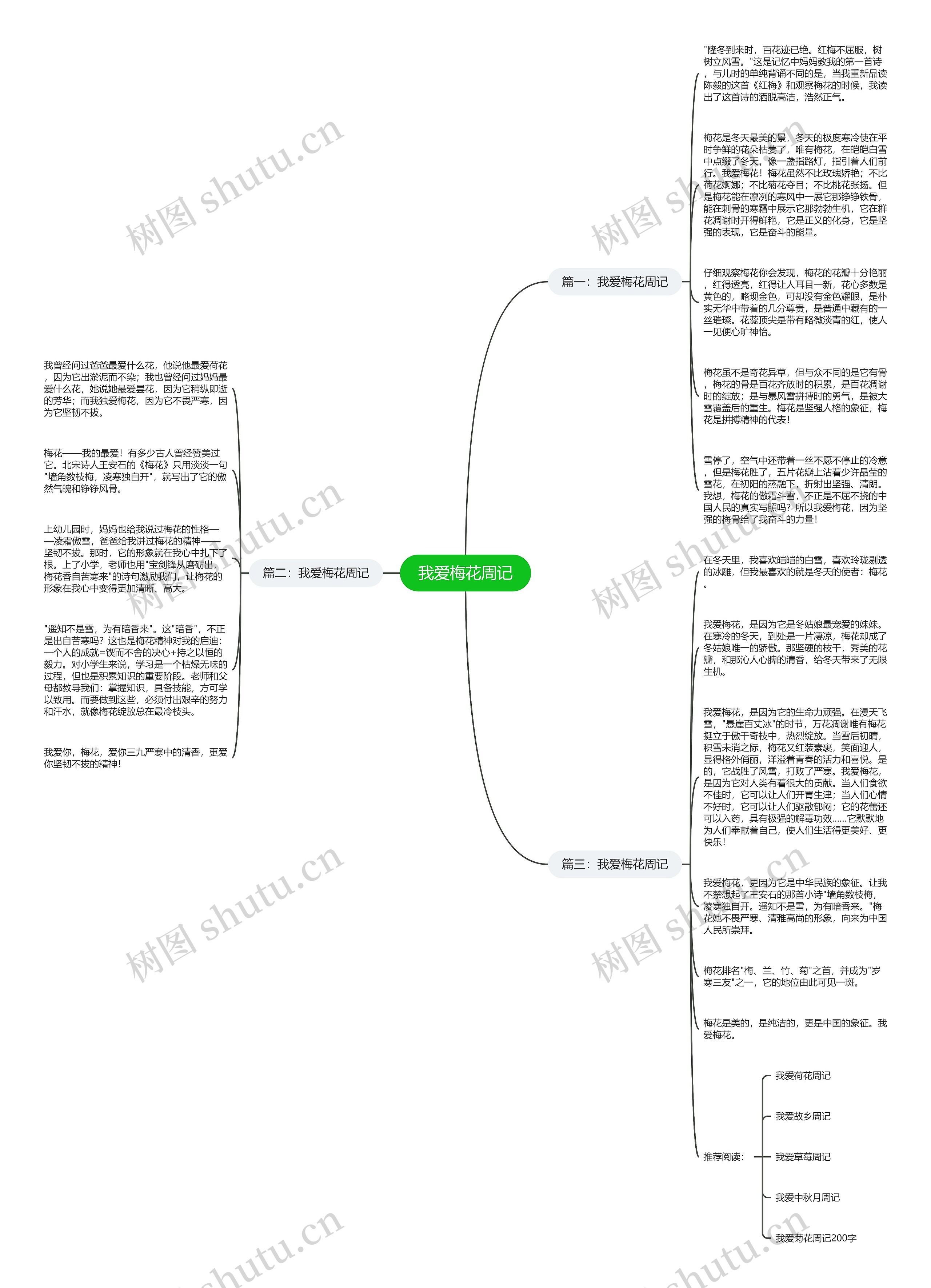 我爱梅花周记思维导图