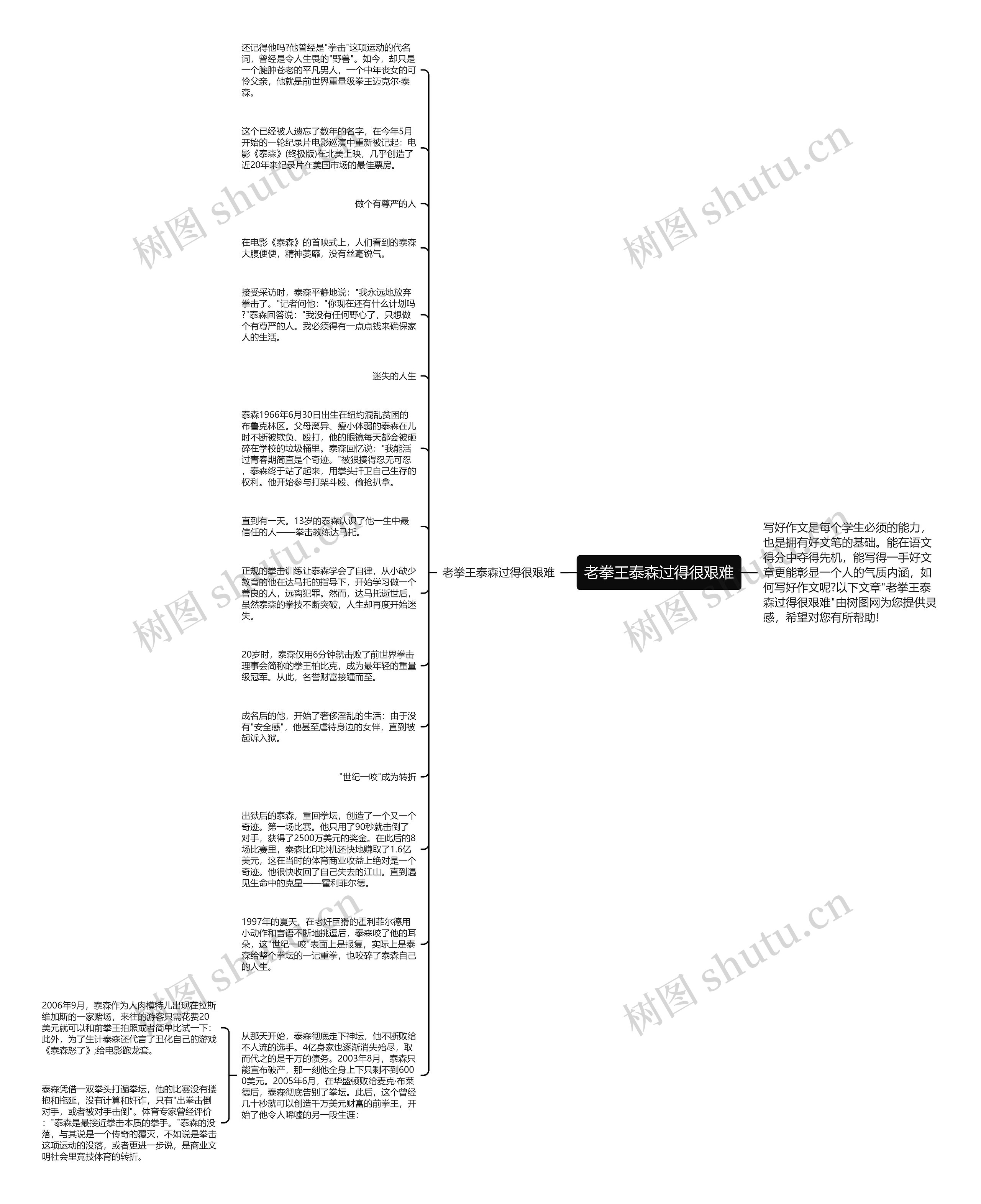 老拳王泰森过得很艰难思维导图