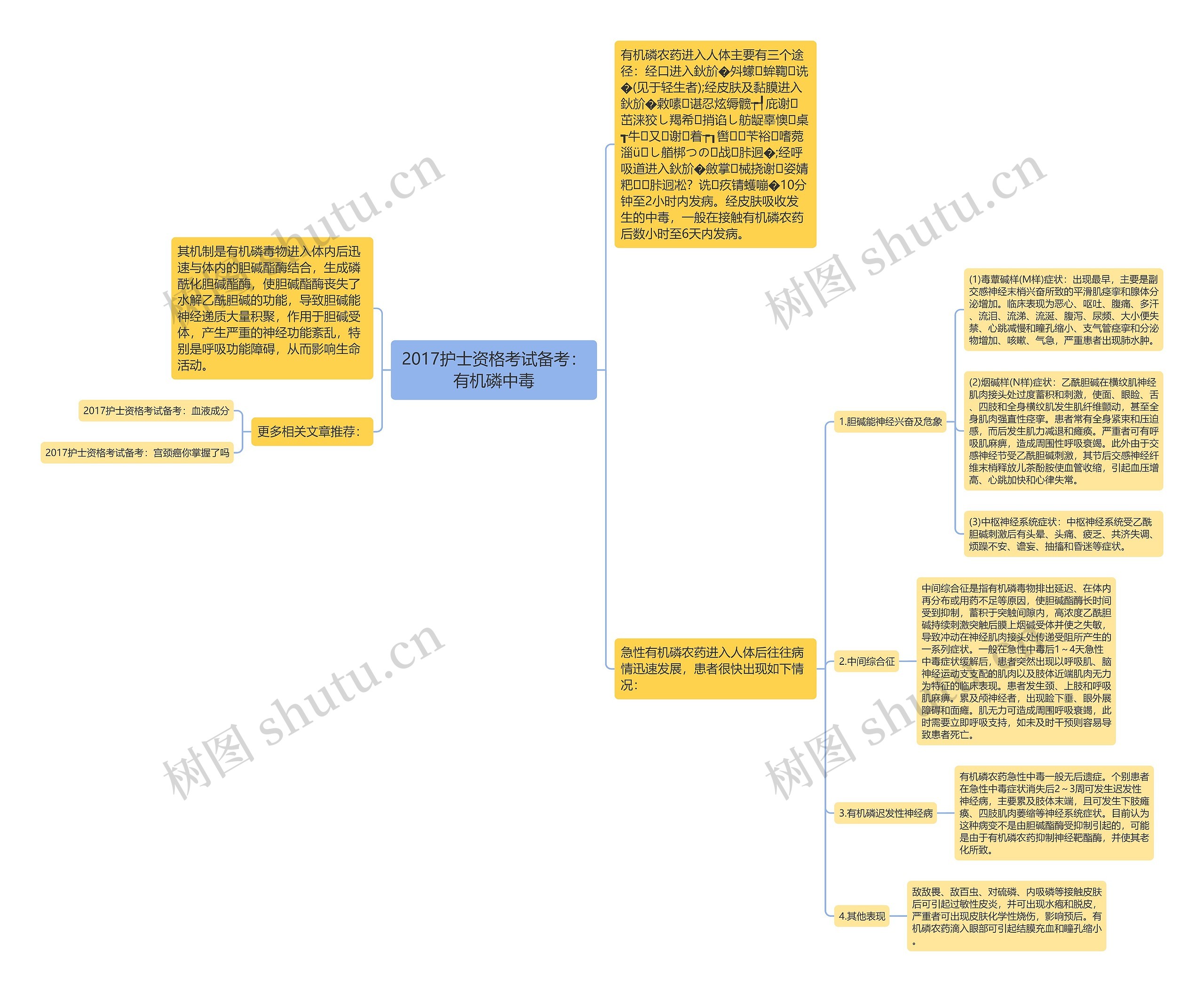 2017护士资格考试备考：有机磷中毒思维导图