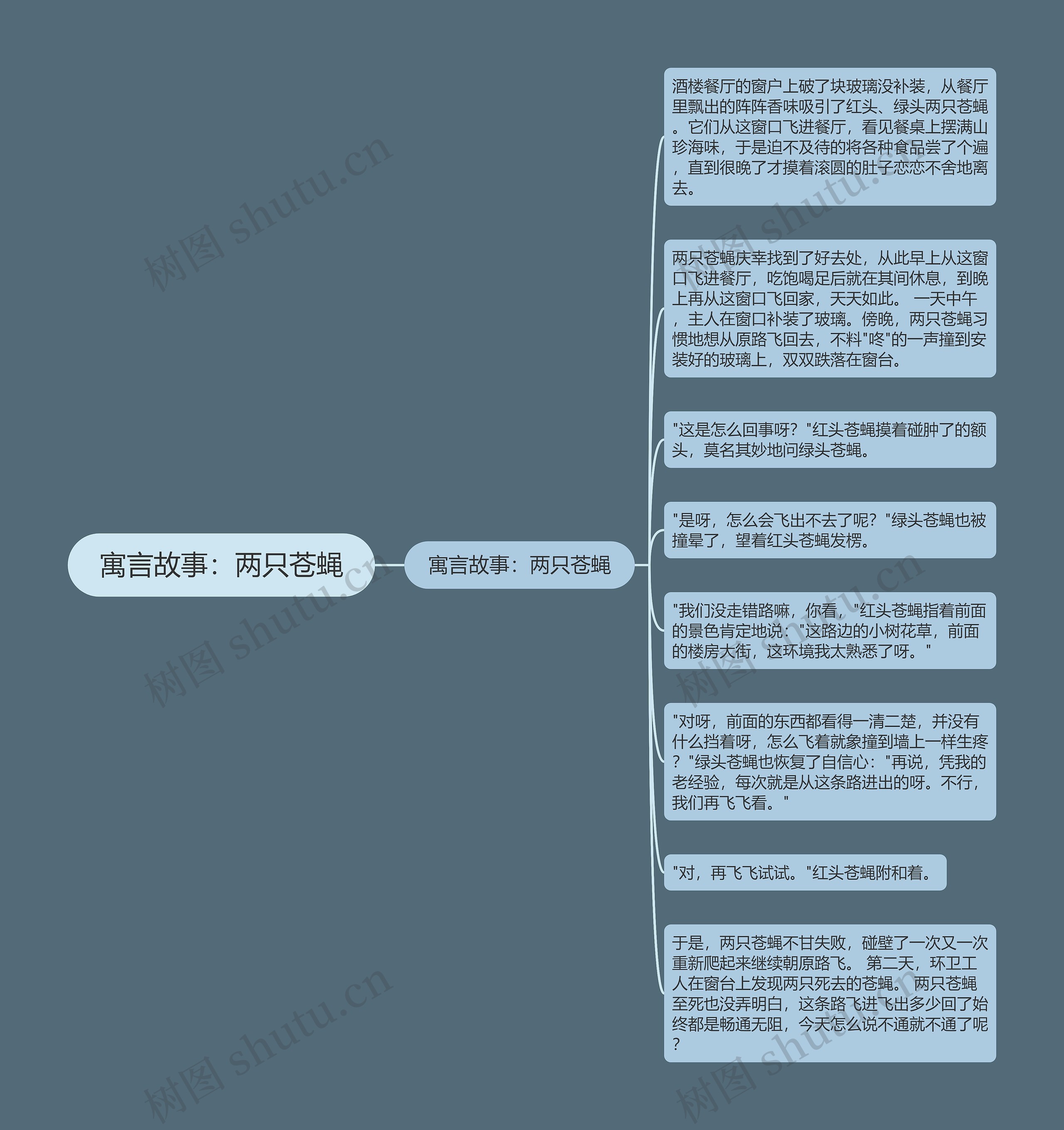 寓言故事：两只苍蝇