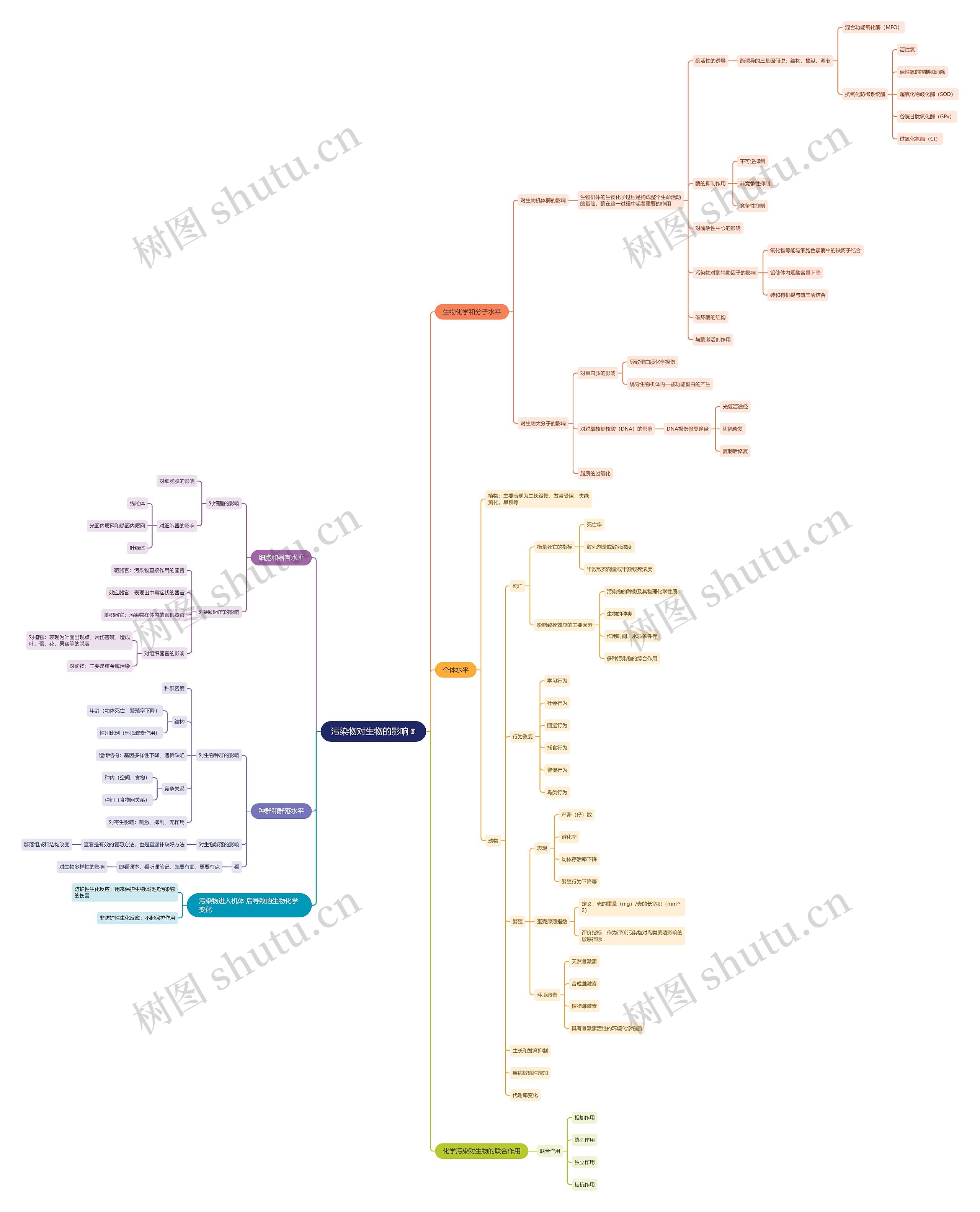 污染物对生物的影响思维导图