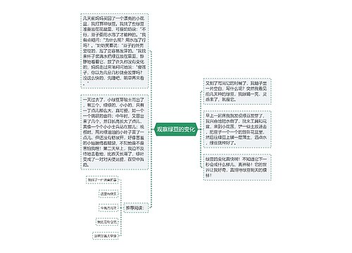 观察绿豆的变化