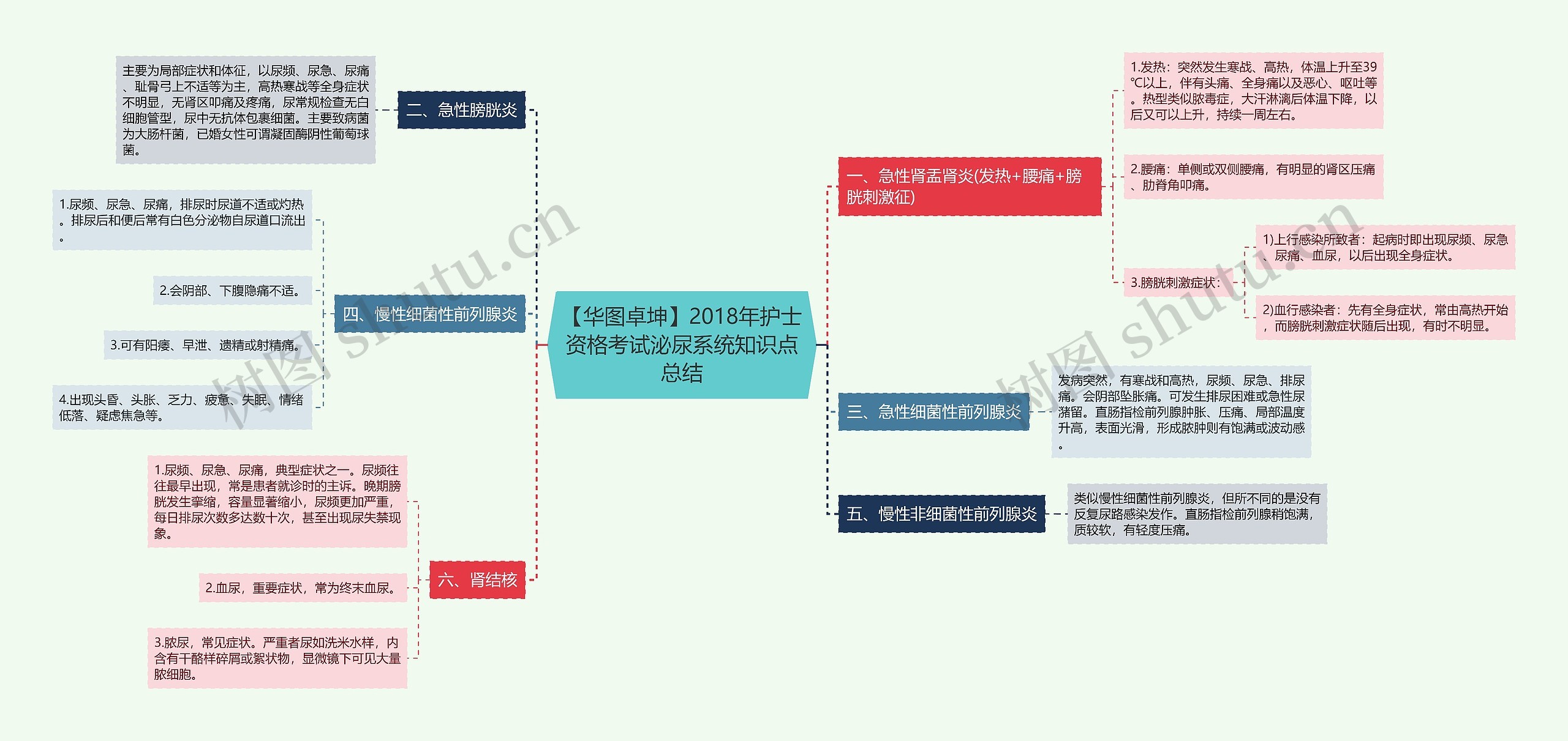 【华图卓坤】2018年护士资格考试泌尿系统知识点总结