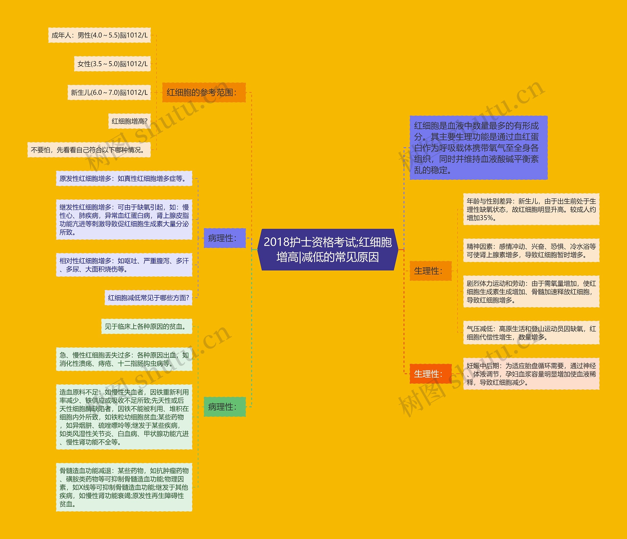 2018护士资格考试;红细胞增高|减低的常见原因思维导图