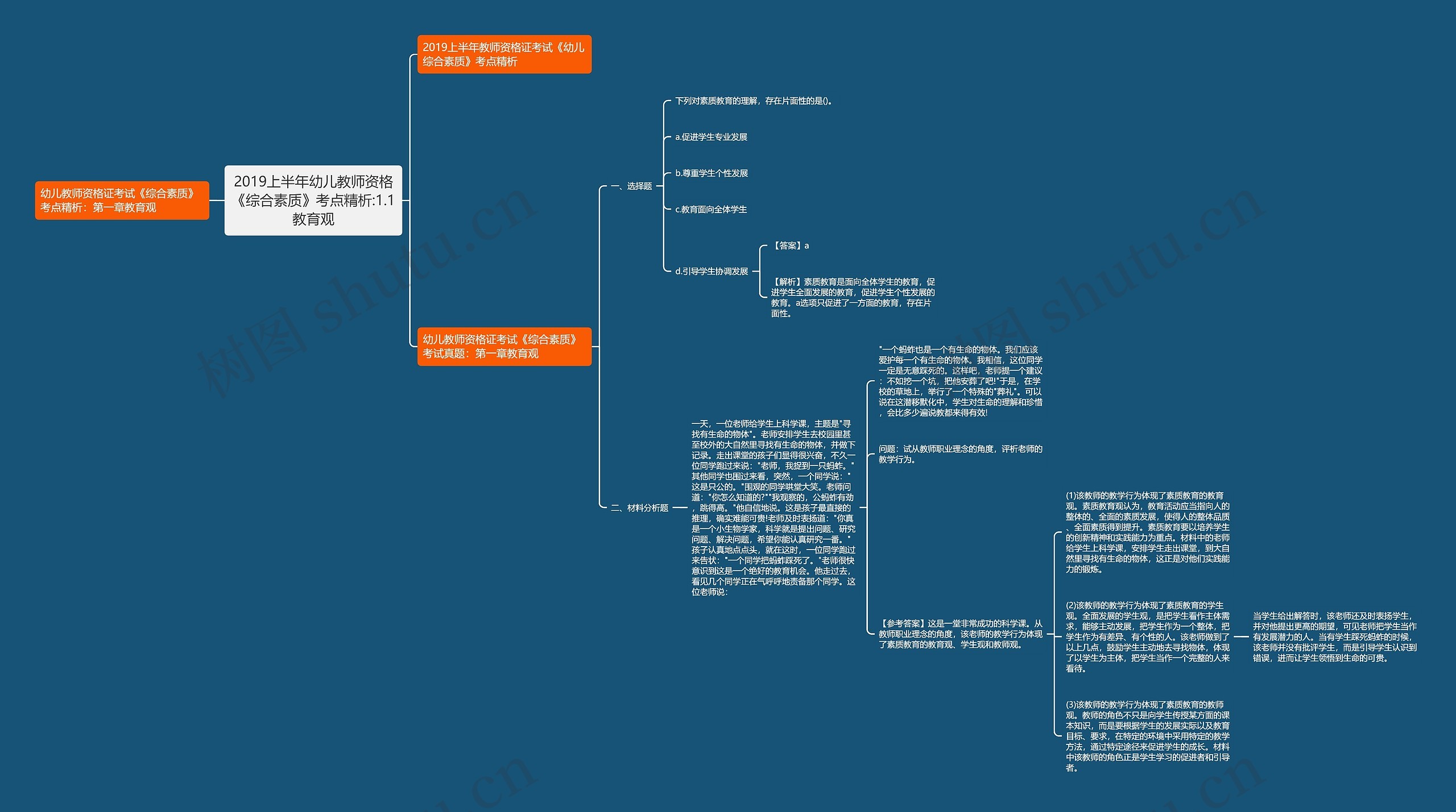 2019上半年幼儿教师资格《综合素质》考点精析:1.1教育观思维导图