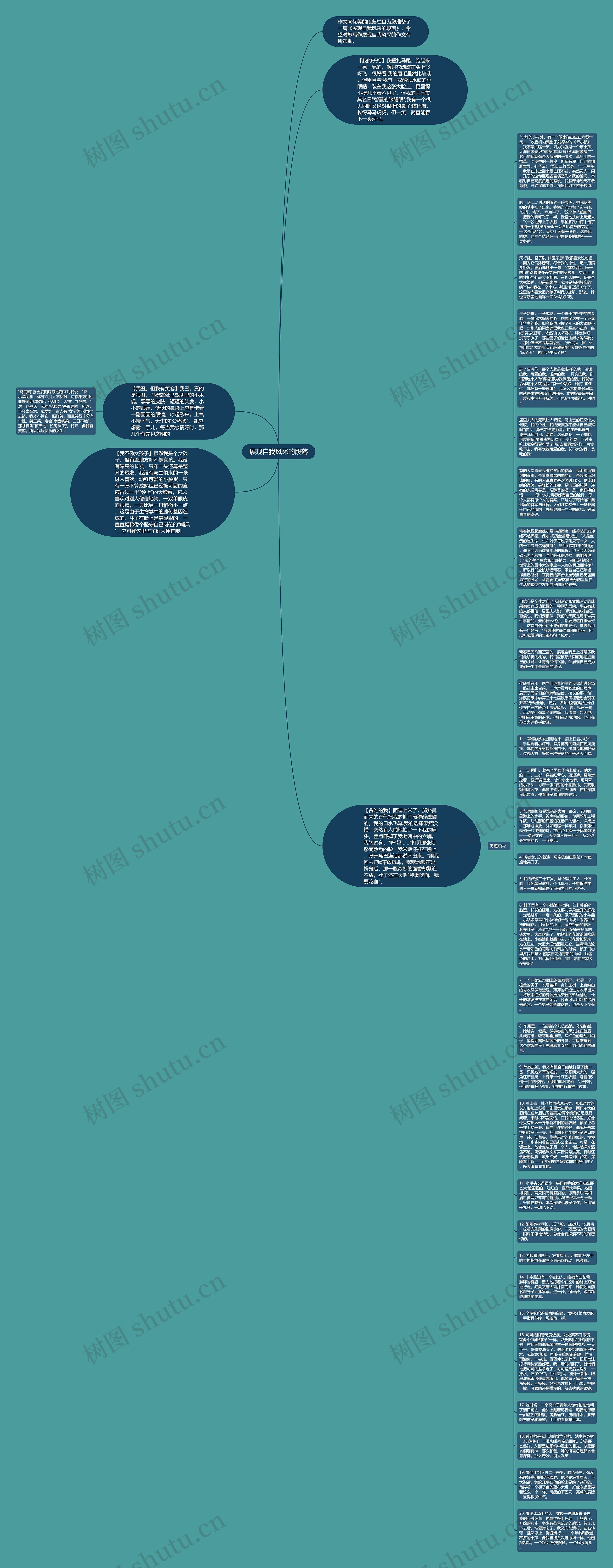 展现自我风采的段落思维导图