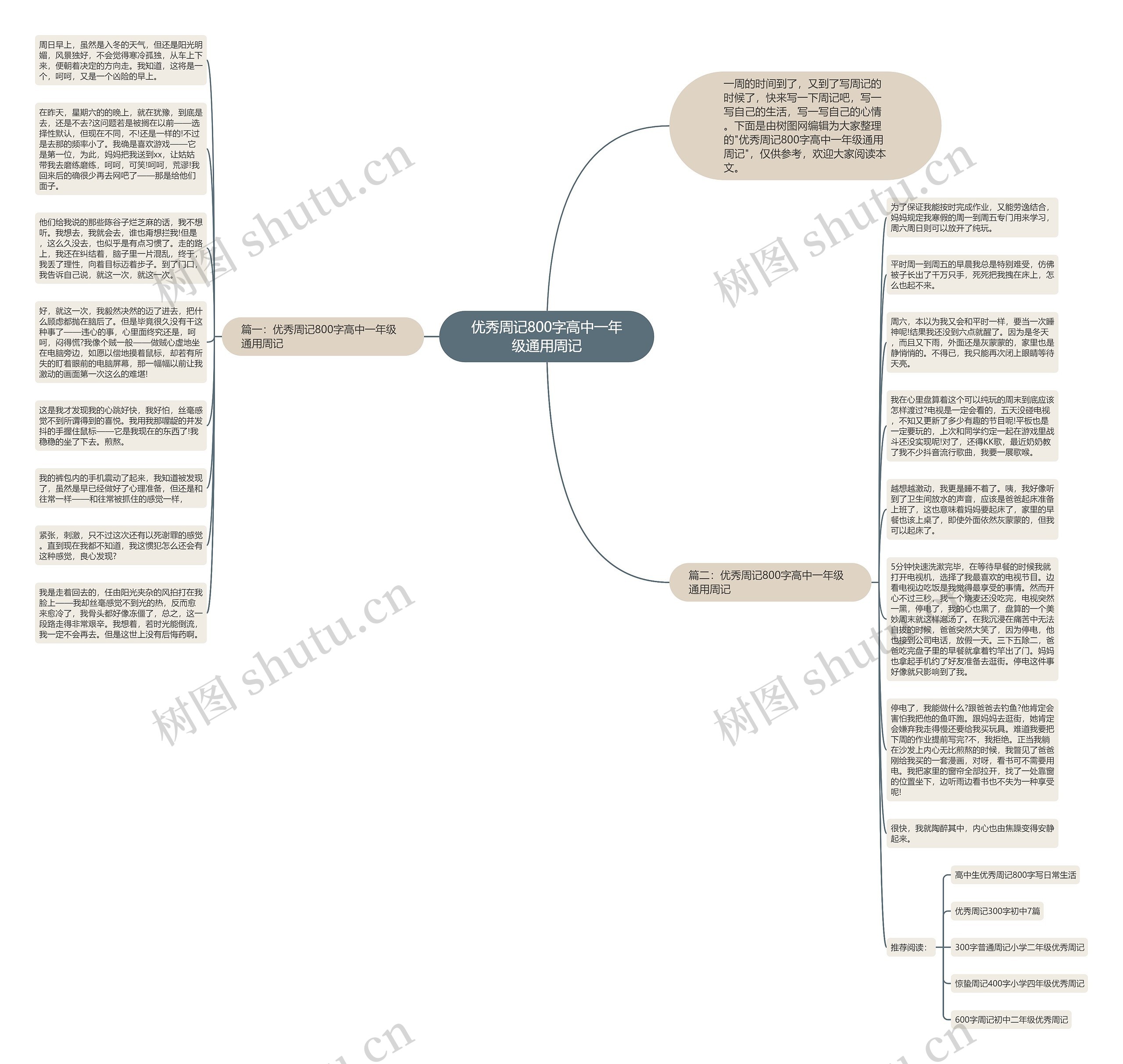 优秀周记800字高中一年级通用周记思维导图