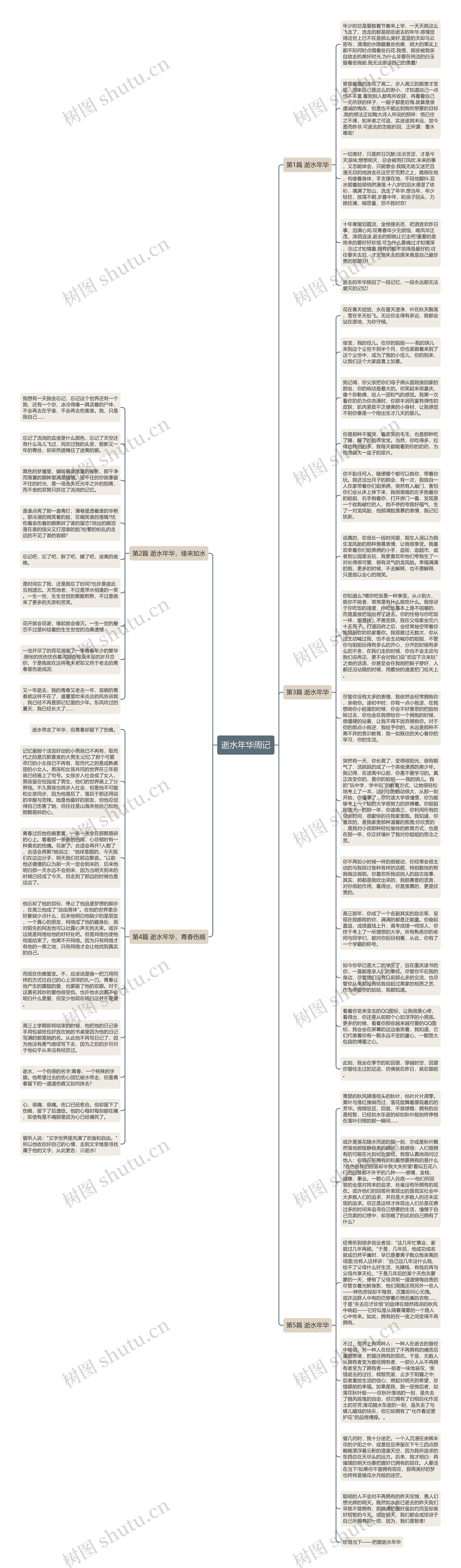 逝水年华周记思维导图