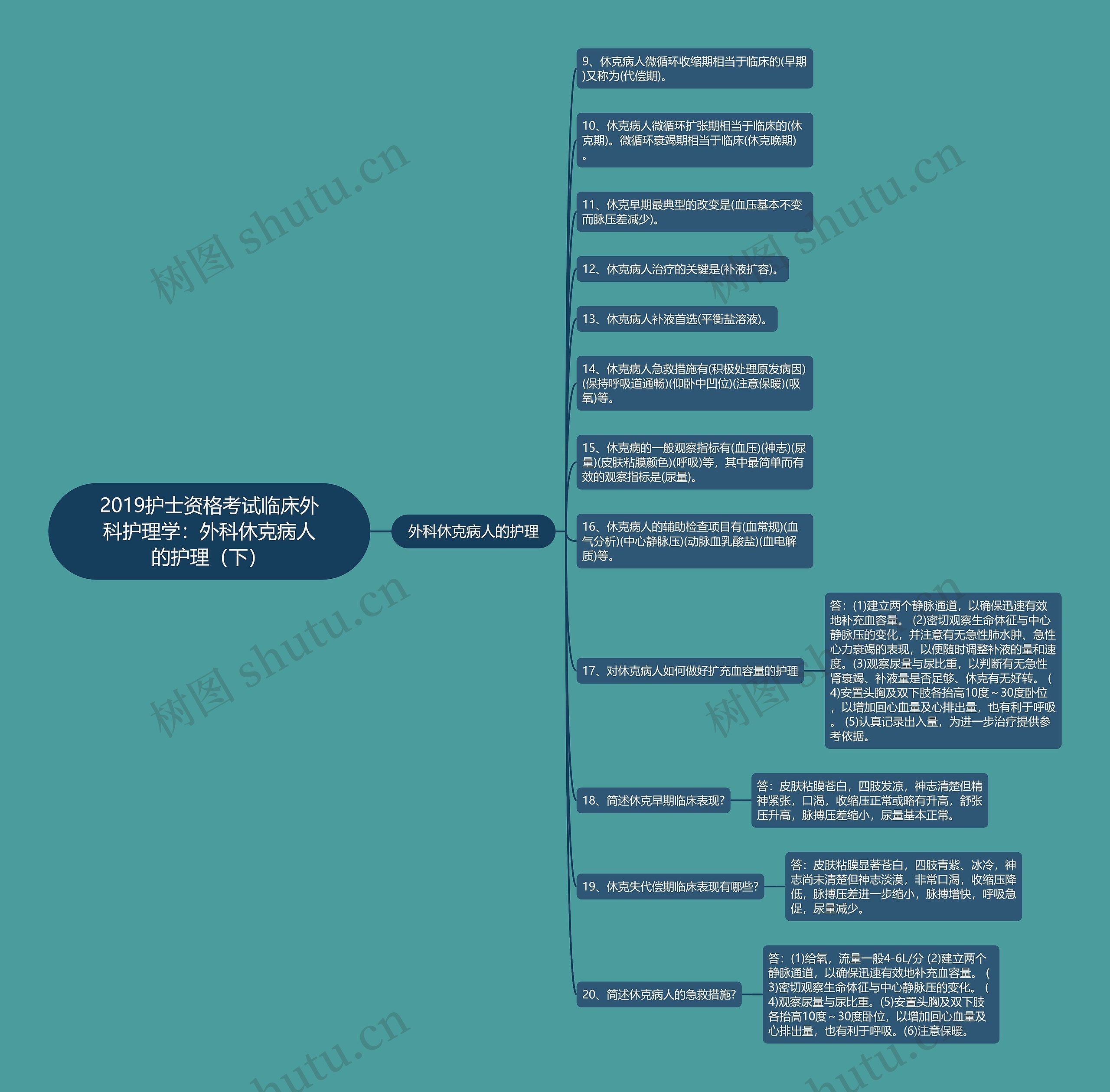 2019护士资格考试临床外科护理学：外科休克病人的护理（下）思维导图