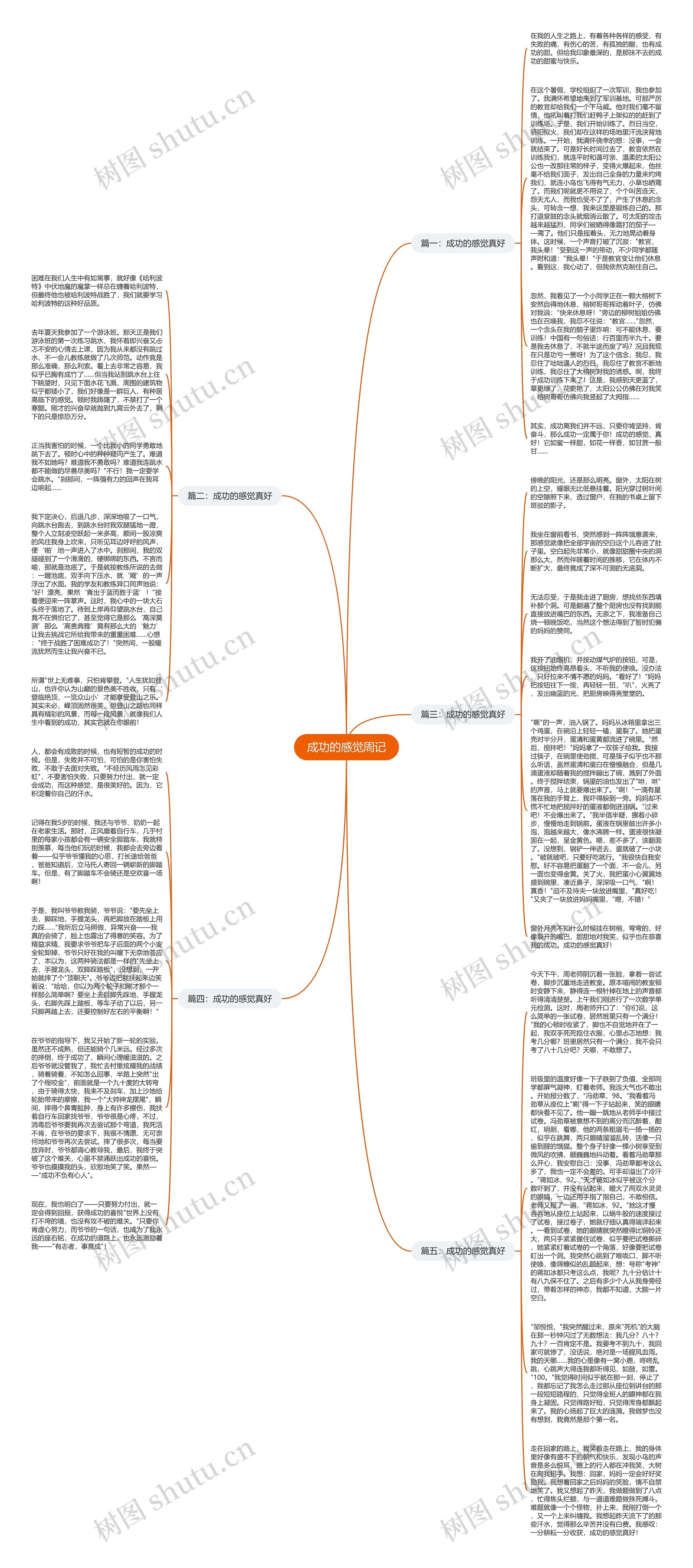 成功的感觉周记思维导图