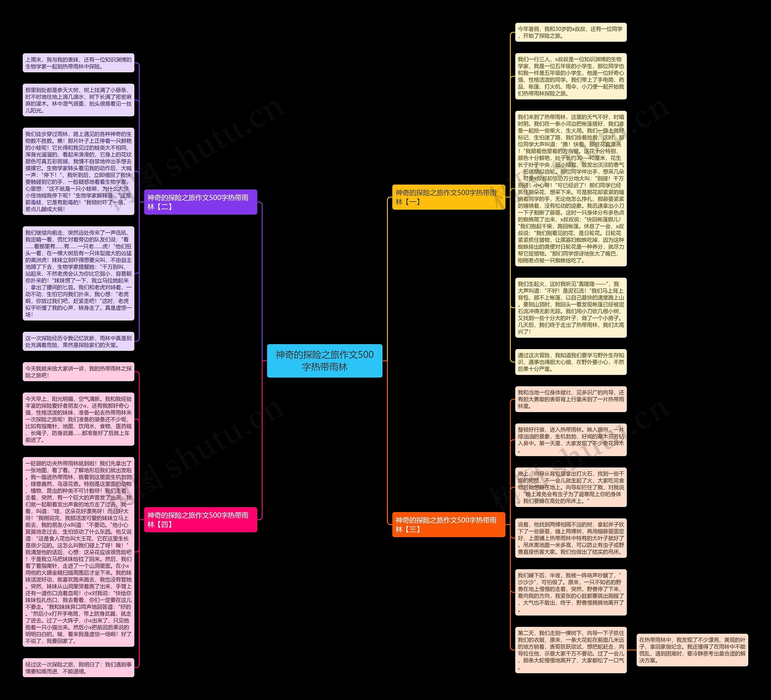 神奇的探险之旅作文500字热带雨林思维导图