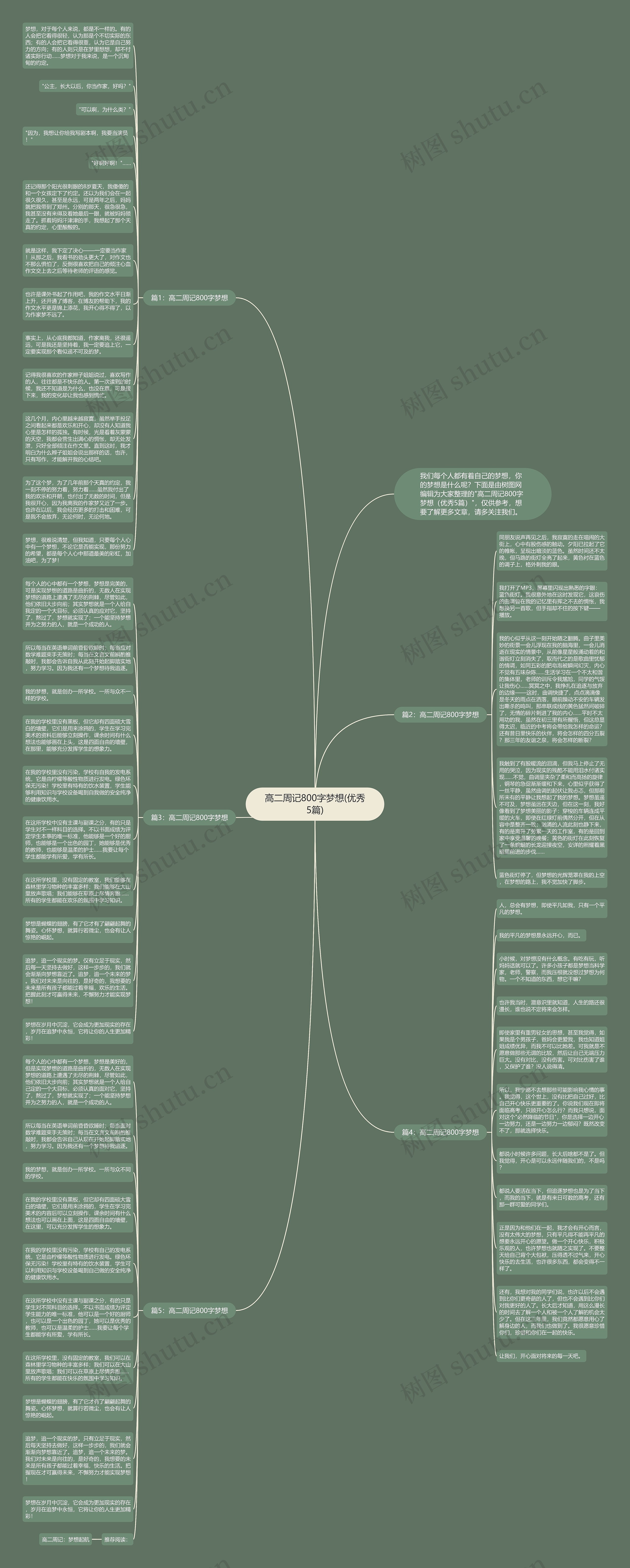 高二周记800字梦想(优秀5篇)思维导图
