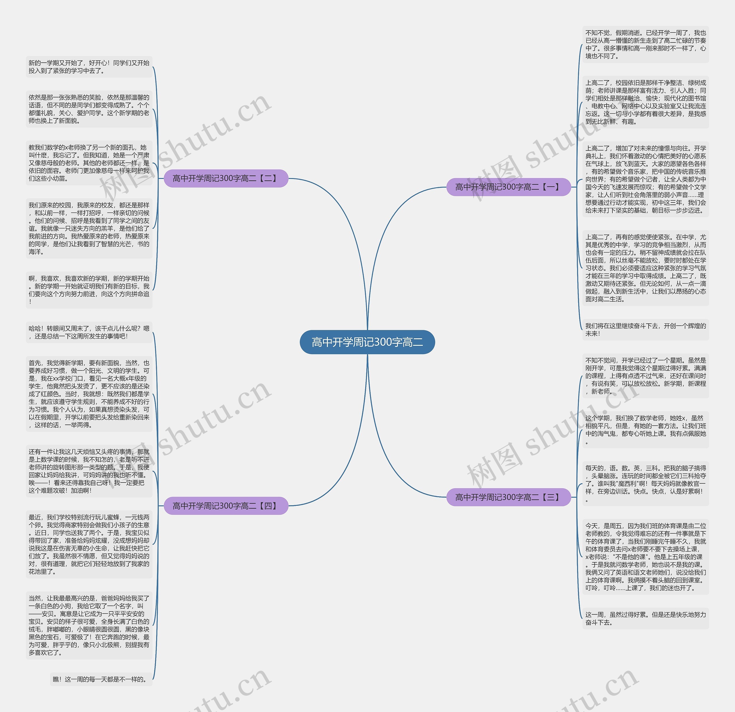 高中开学周记300字高二思维导图