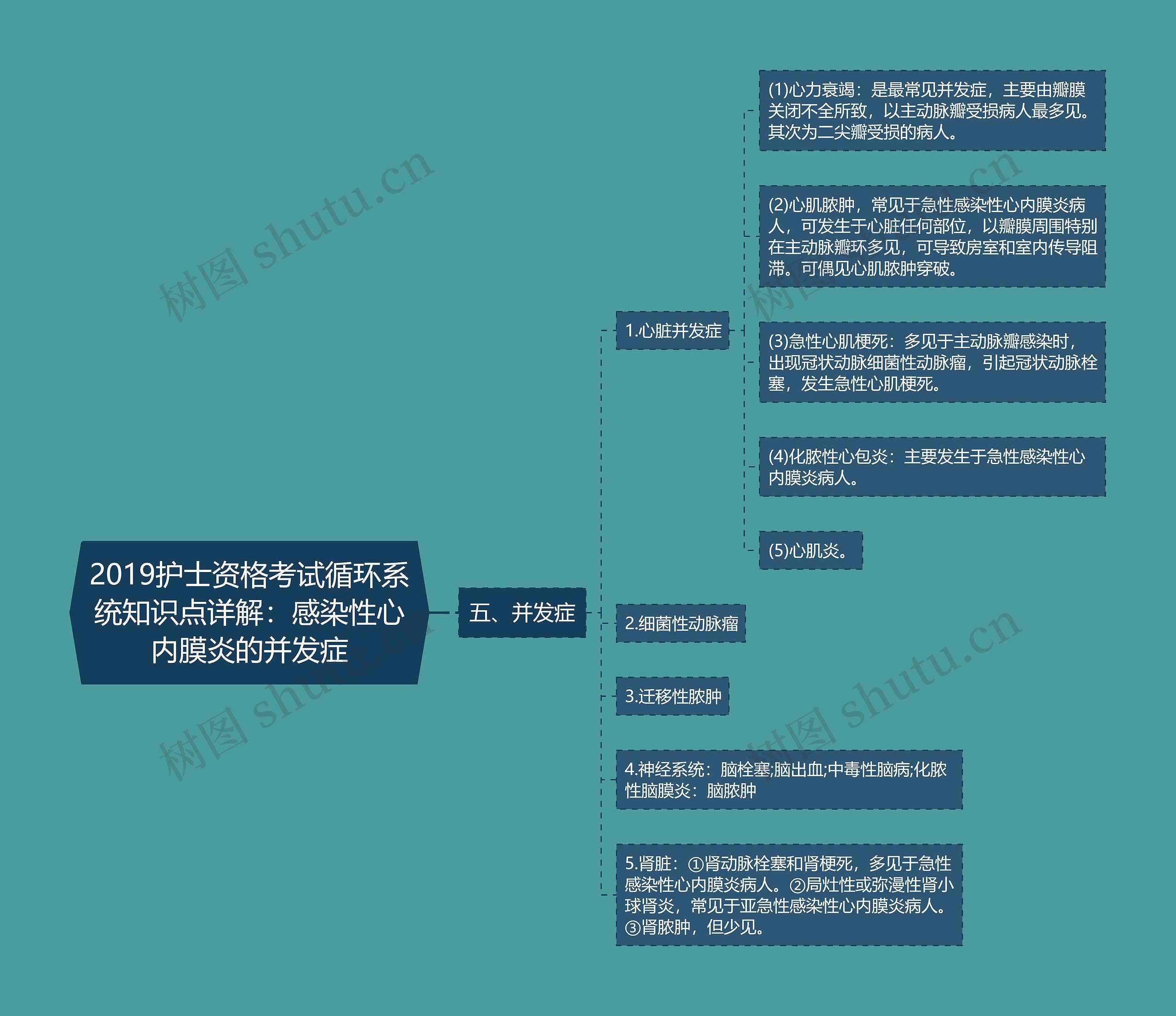 2019护士资格考试循环系统知识点详解：感染性心内膜炎的并发症