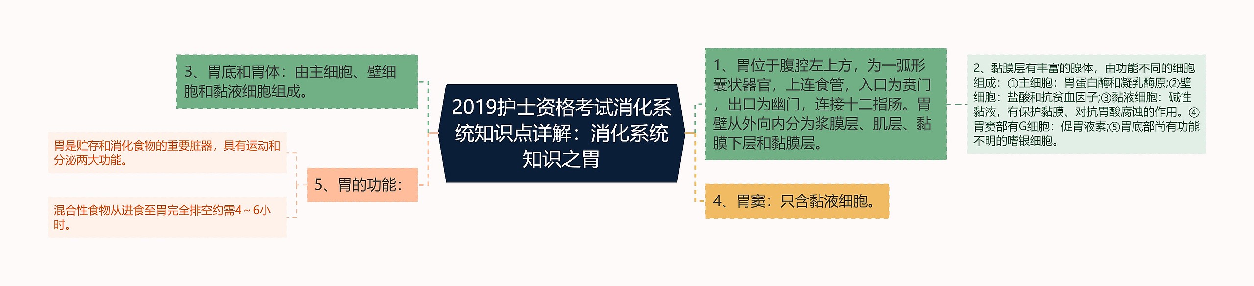 2019护士资格考试消化系统知识点详解：消化系统知识之胃