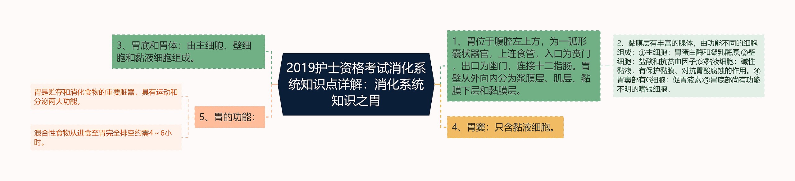 2019护士资格考试消化系统知识点详解：消化系统知识之胃思维导图