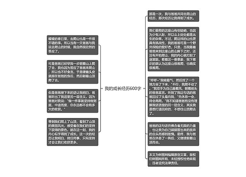 我的成长经历600字