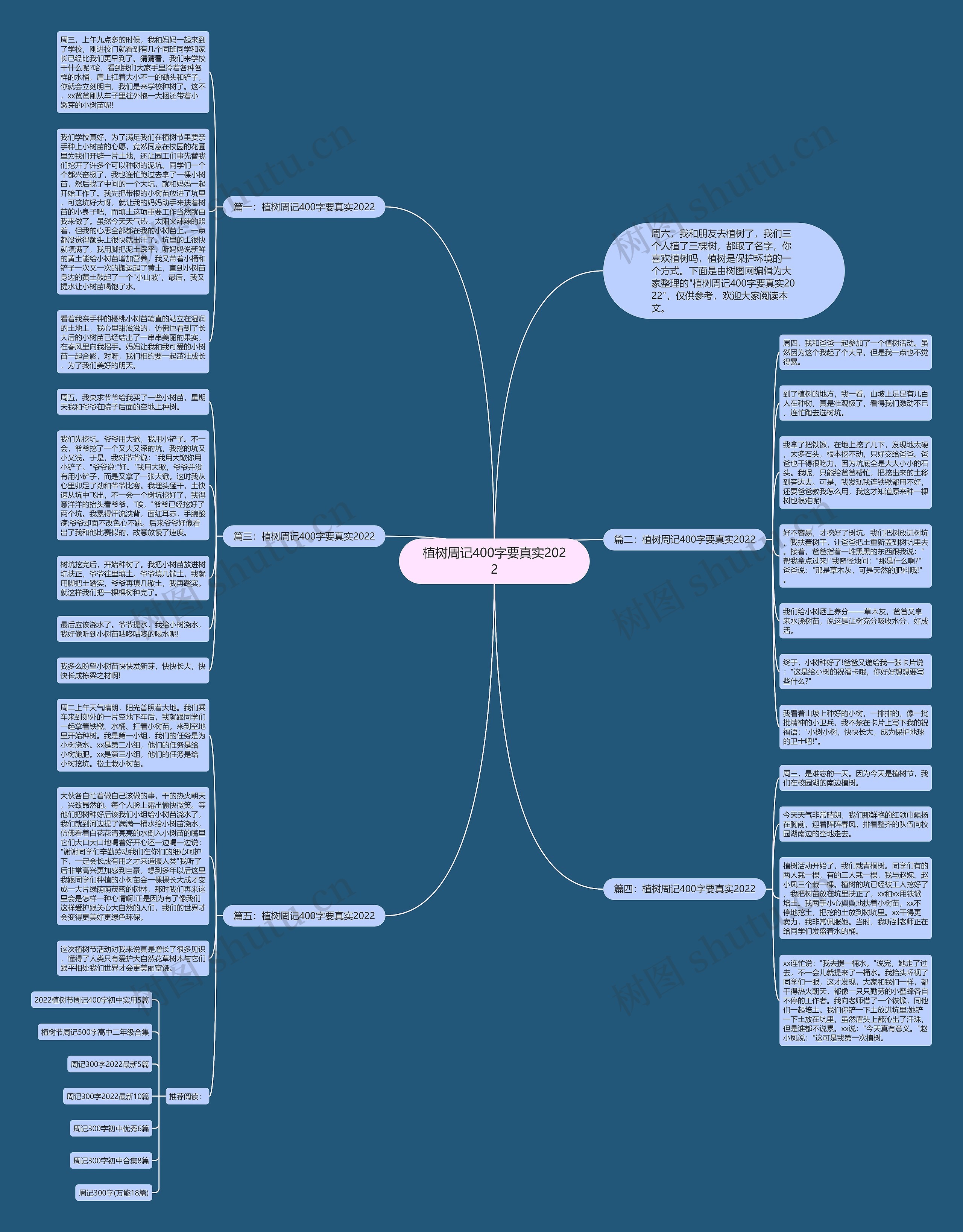 植树周记400字要真实2022思维导图